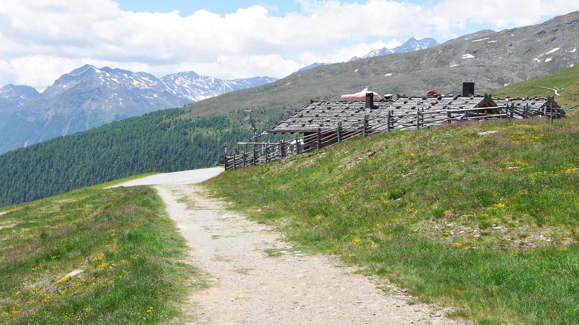 Ausflug auf die Schwemmalm