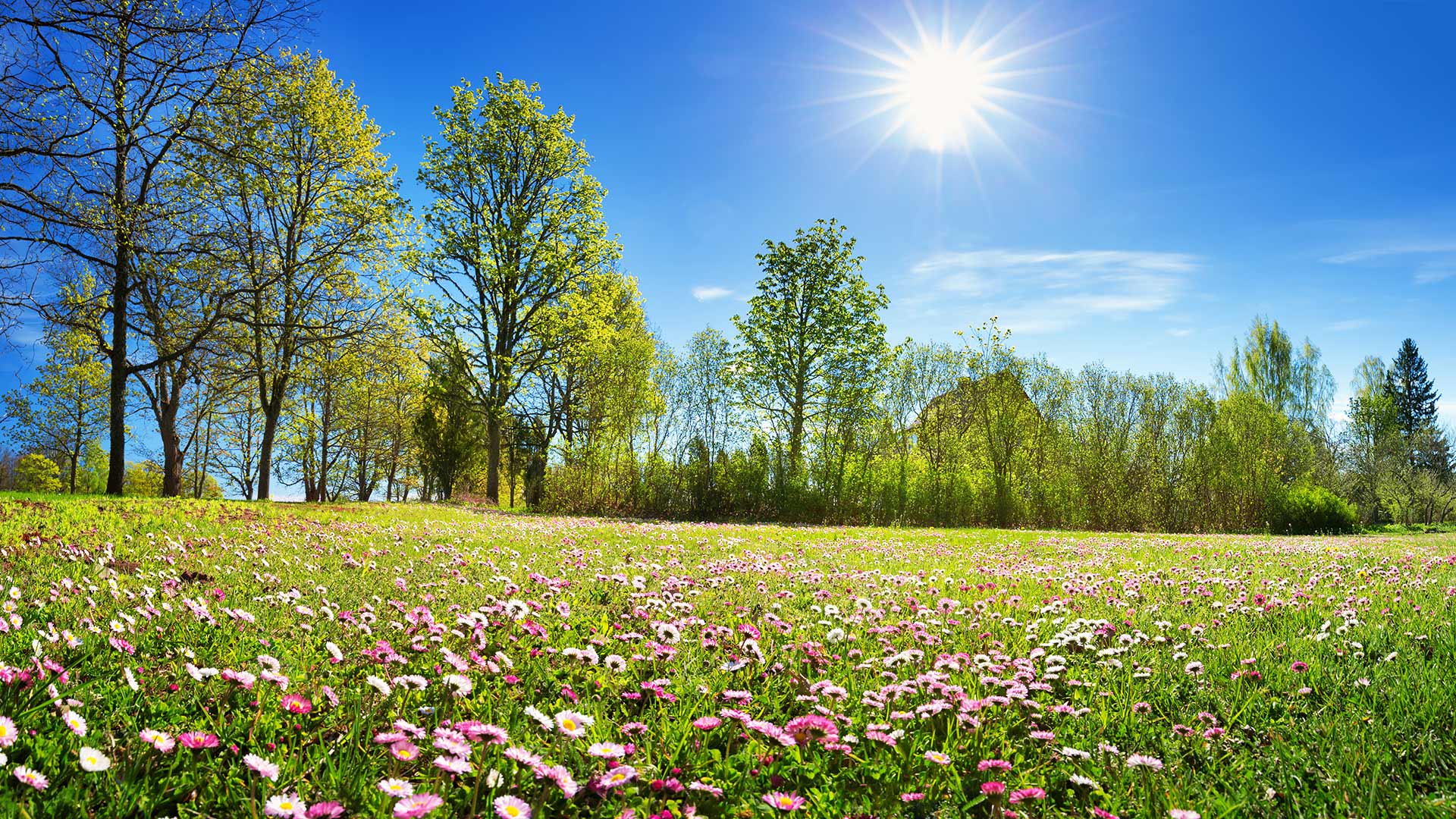 Frühling in Meran und Umgebung