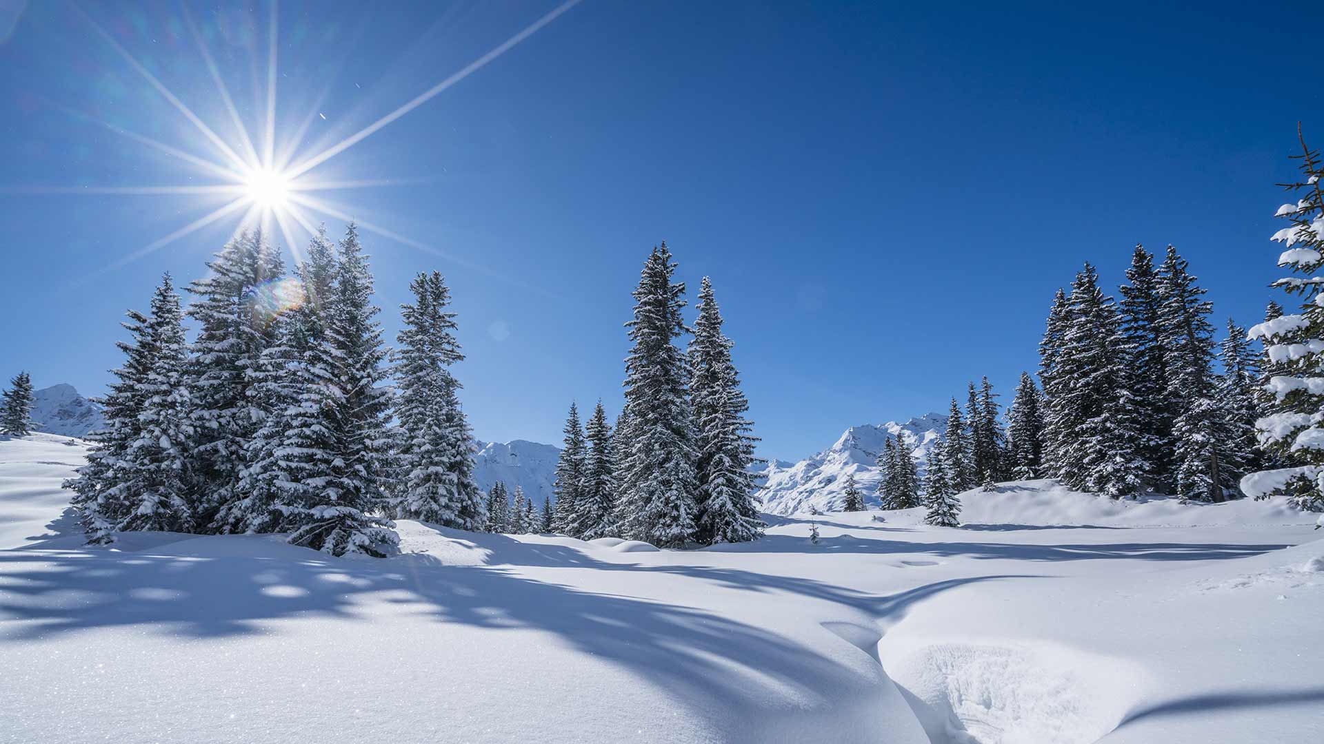 Winterurlaub in Meran und Umgebung