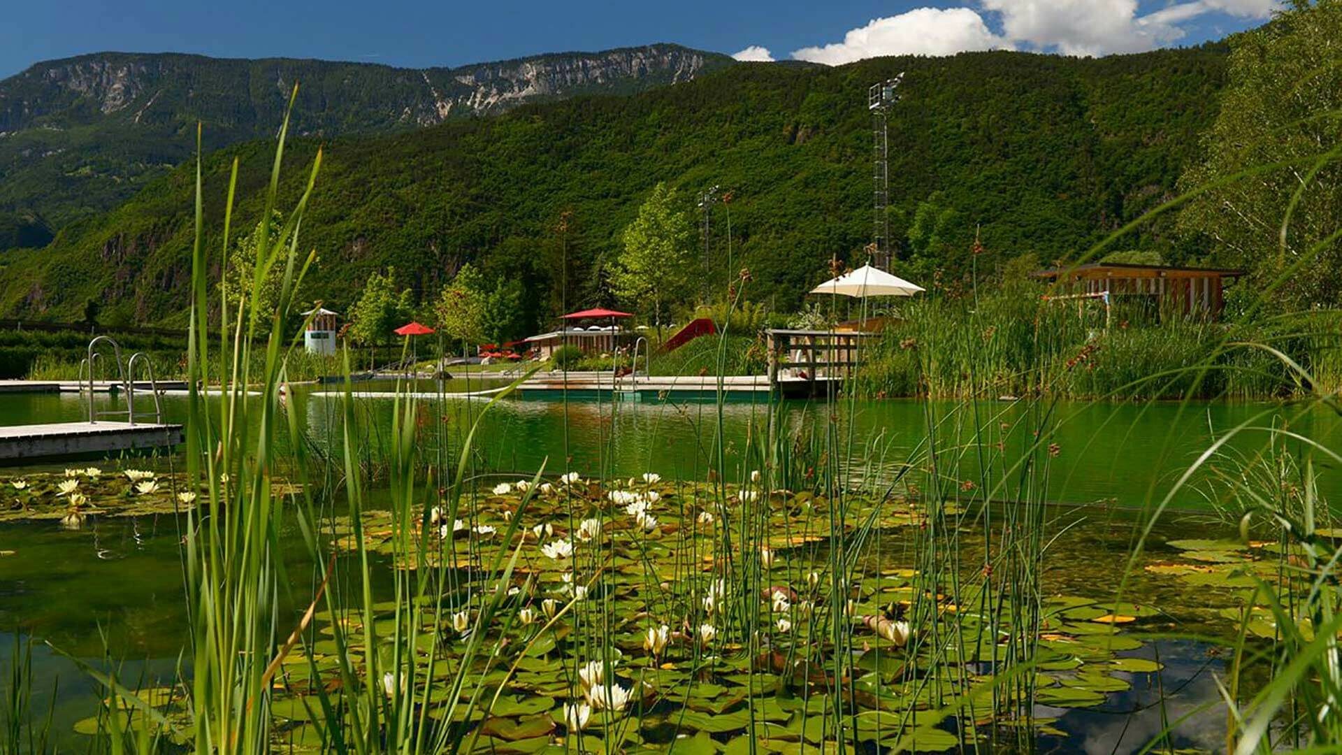Der Naturbadeteich in Gargazon