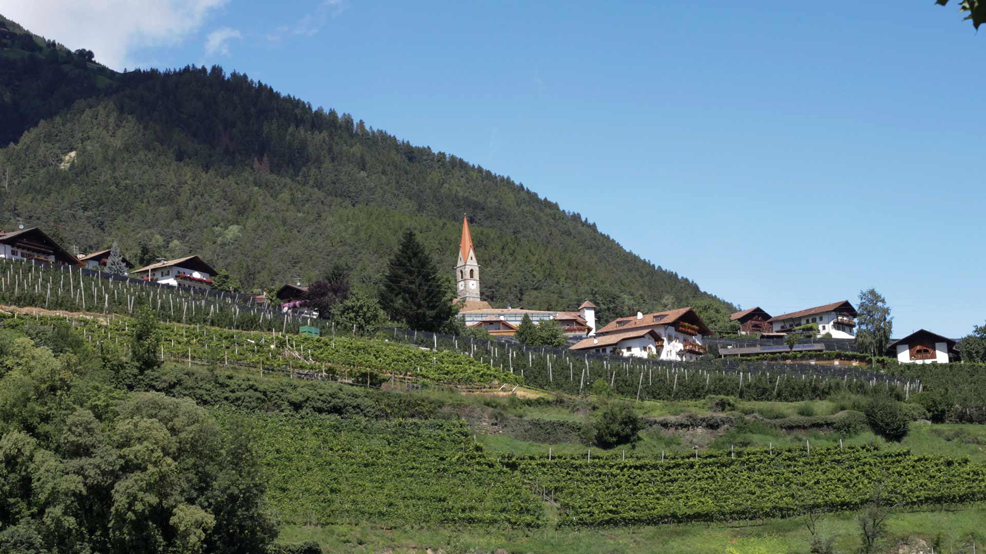 Kuens in Südtirol