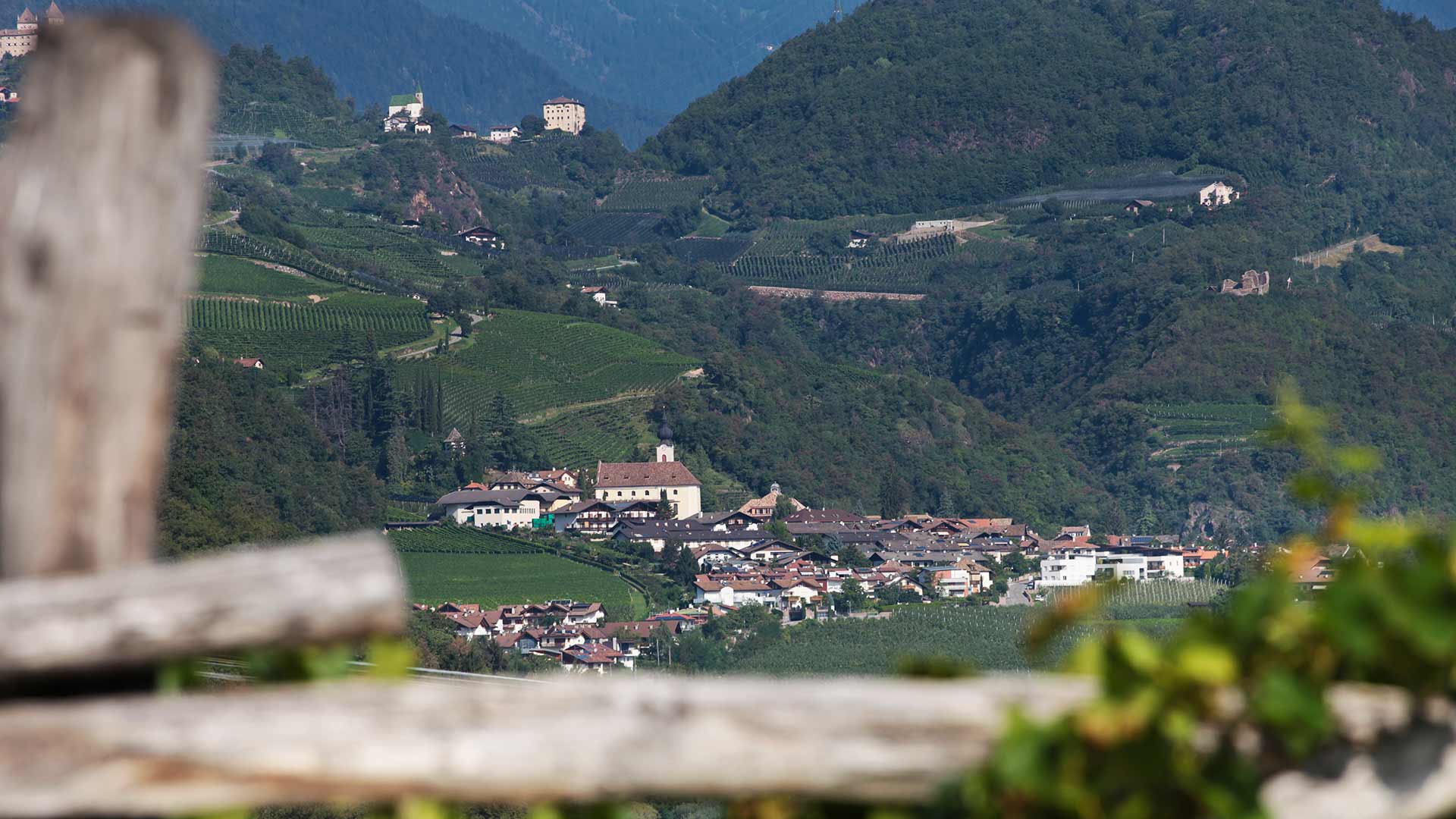 Blick auf Nals