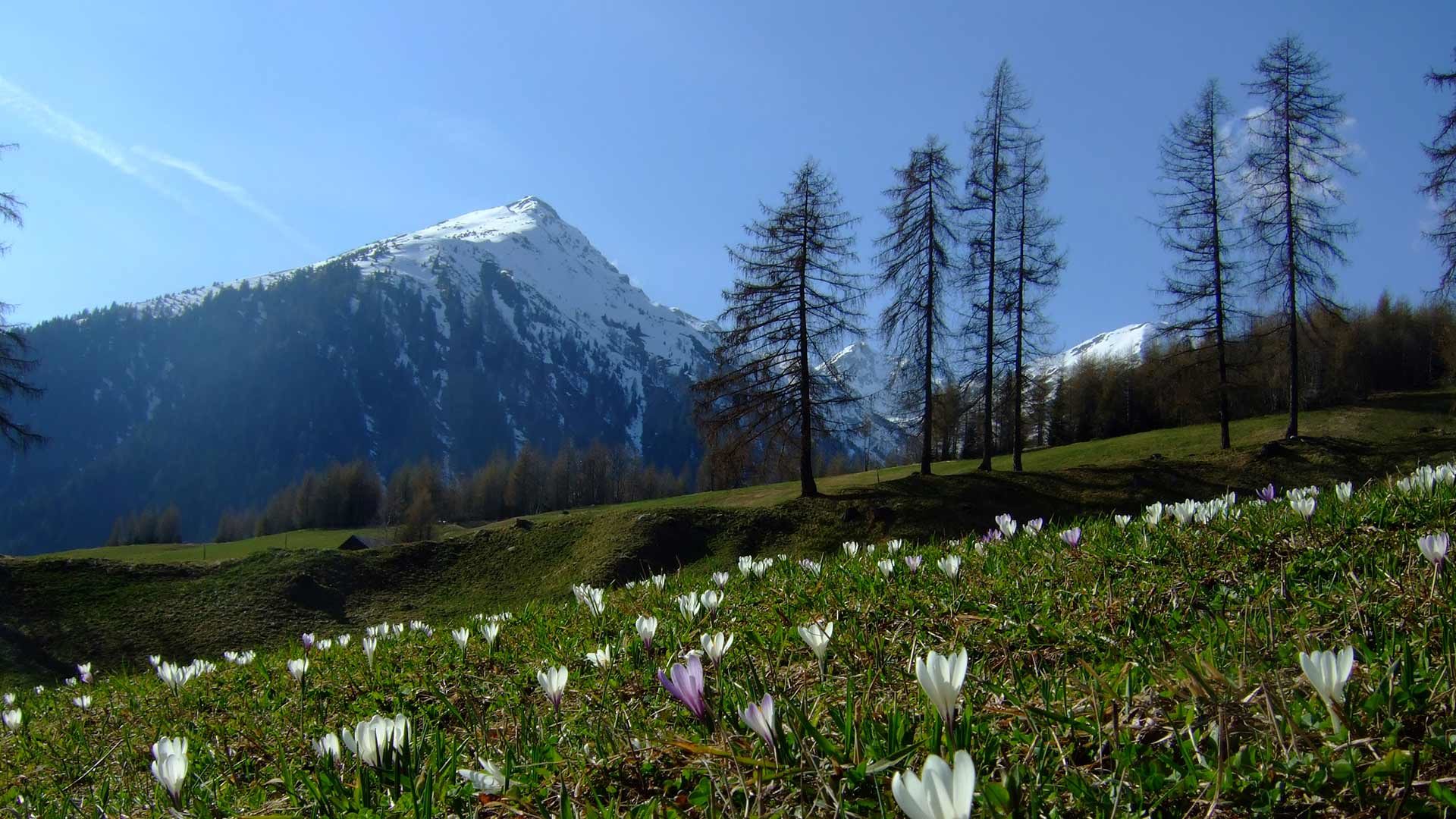 Landschaft - Proveis