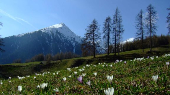 Landschaft - Proveis