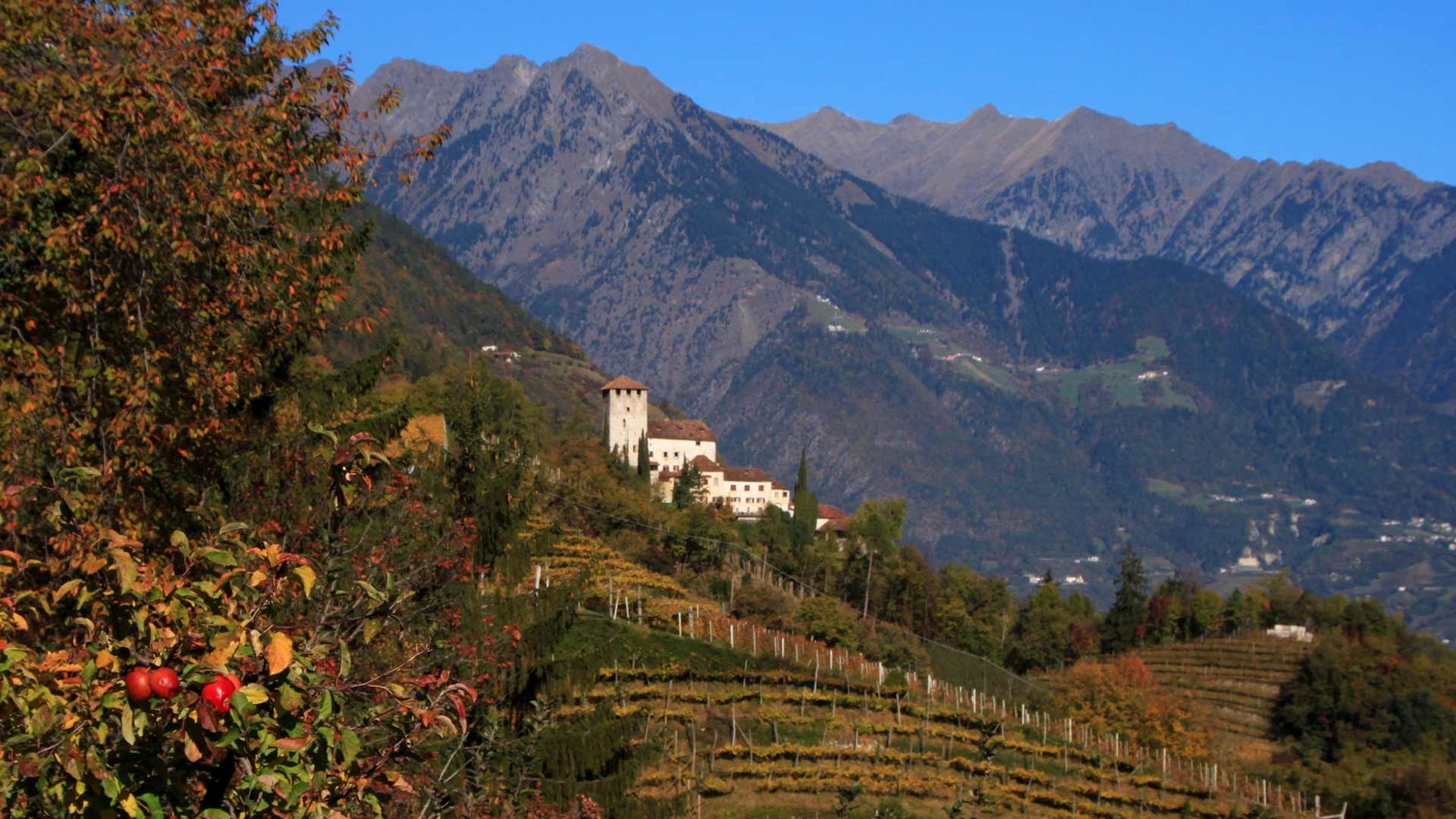 Blick zum Schloss Lebenberg