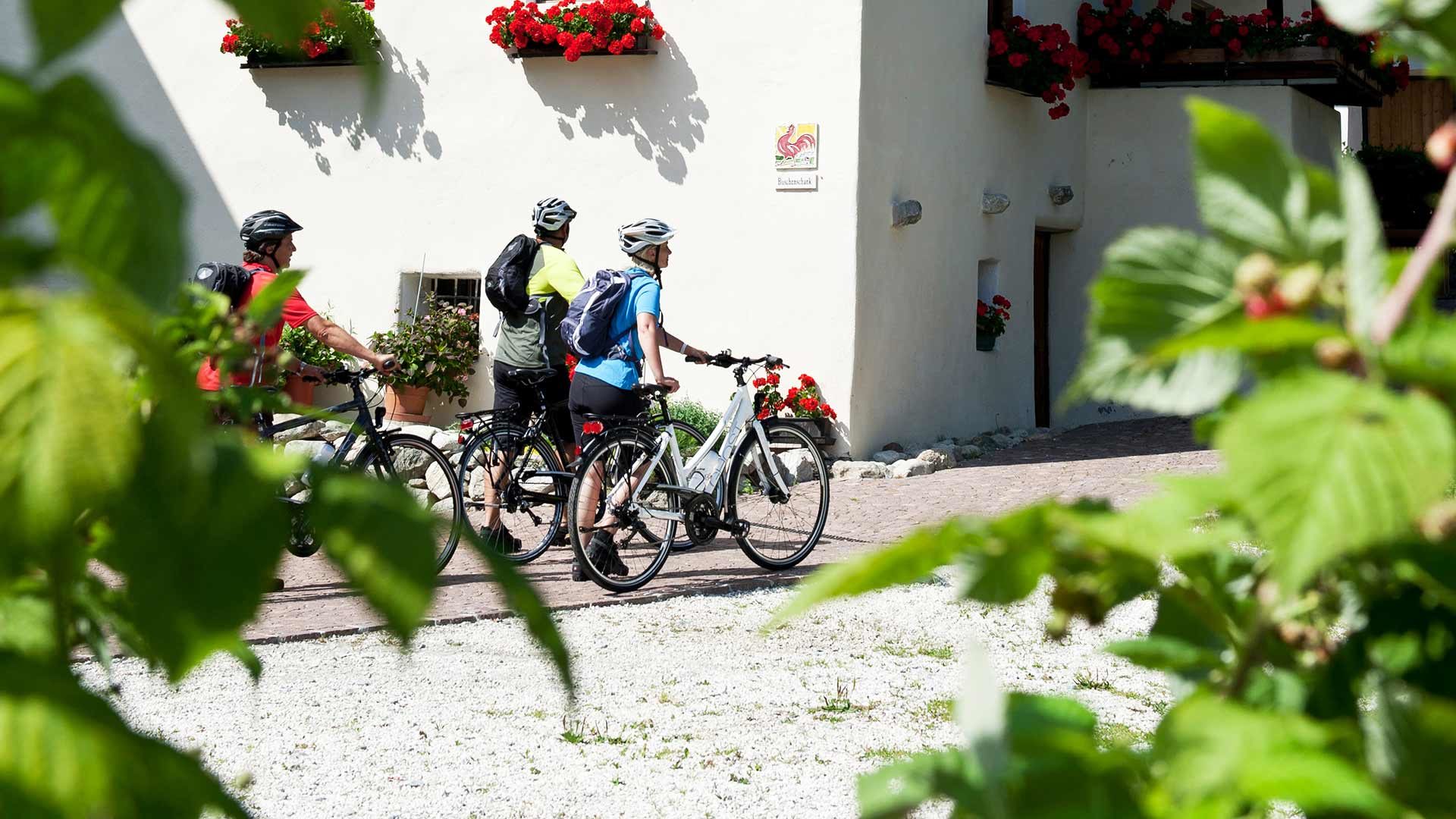 Etschtalradweg Meran - Bozen