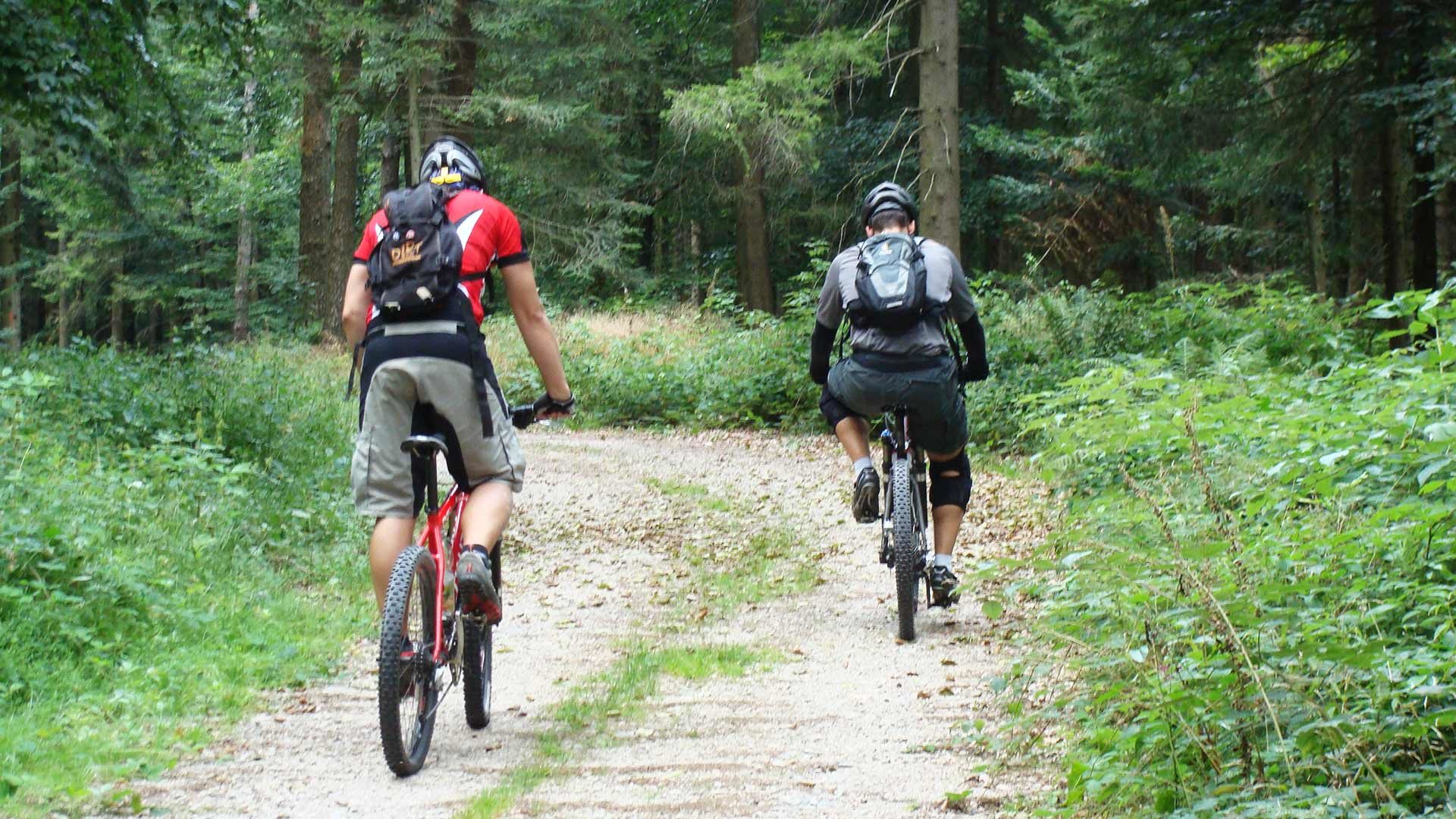 Gallberg Umrundung
