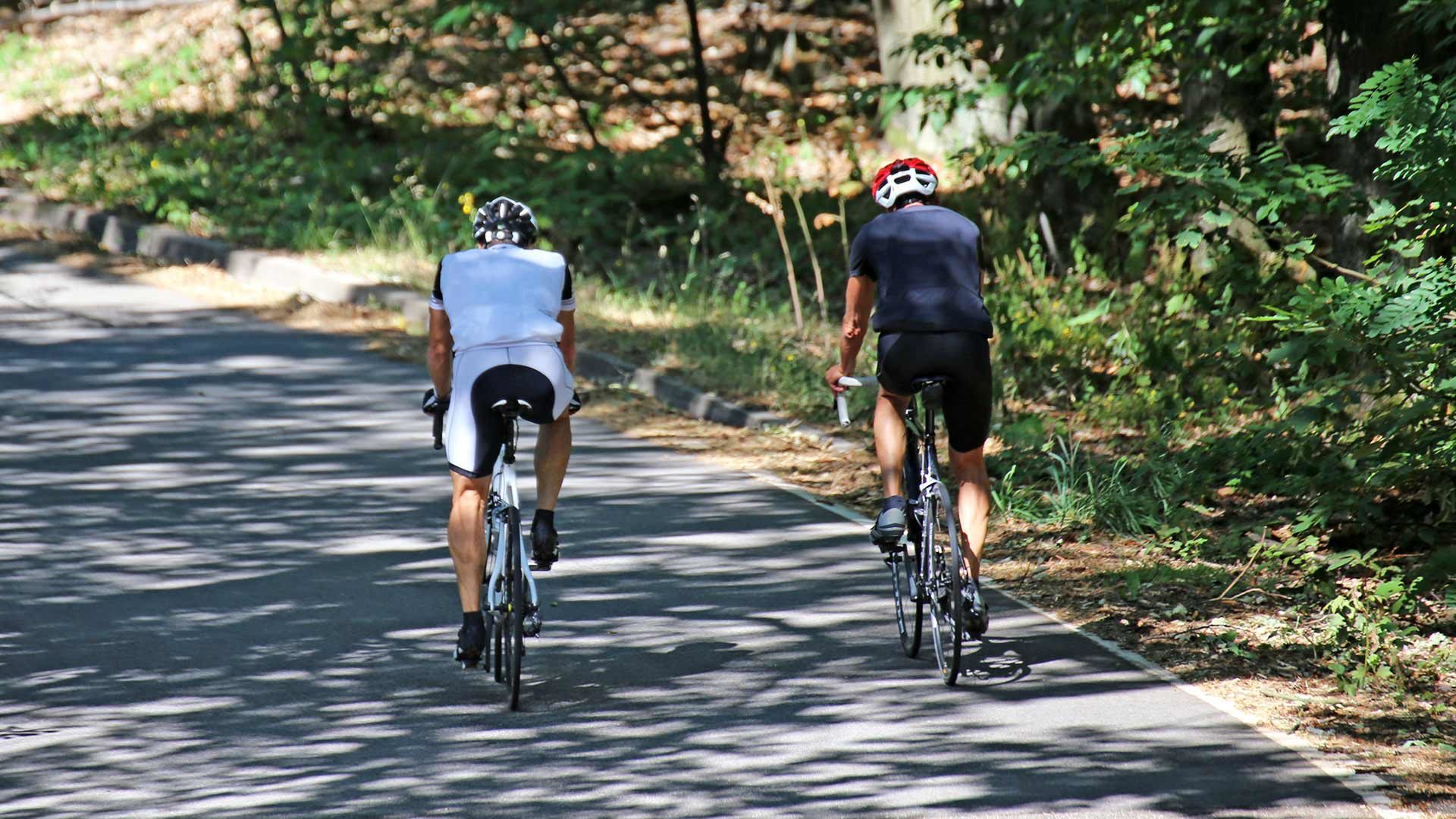 Radtour Gampenpass – Brezerjoch
