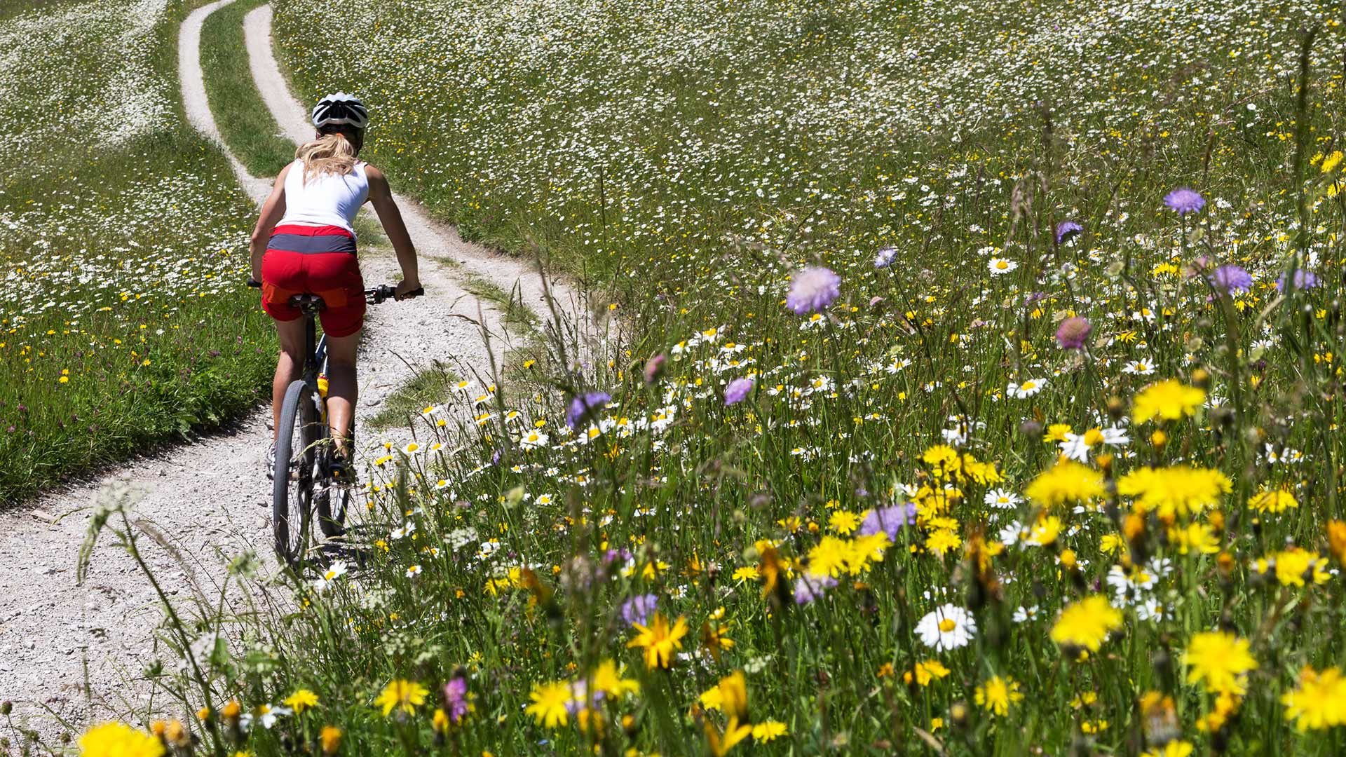 Radtour zur Mariolbergalm