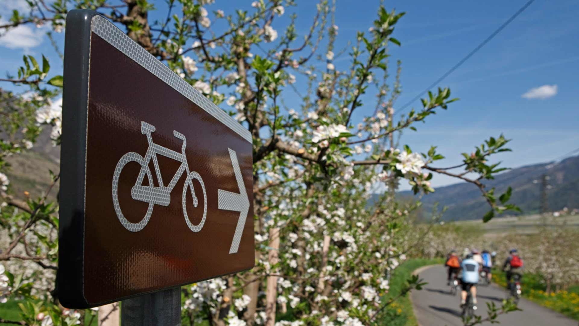 Radtour Meran - Naturns