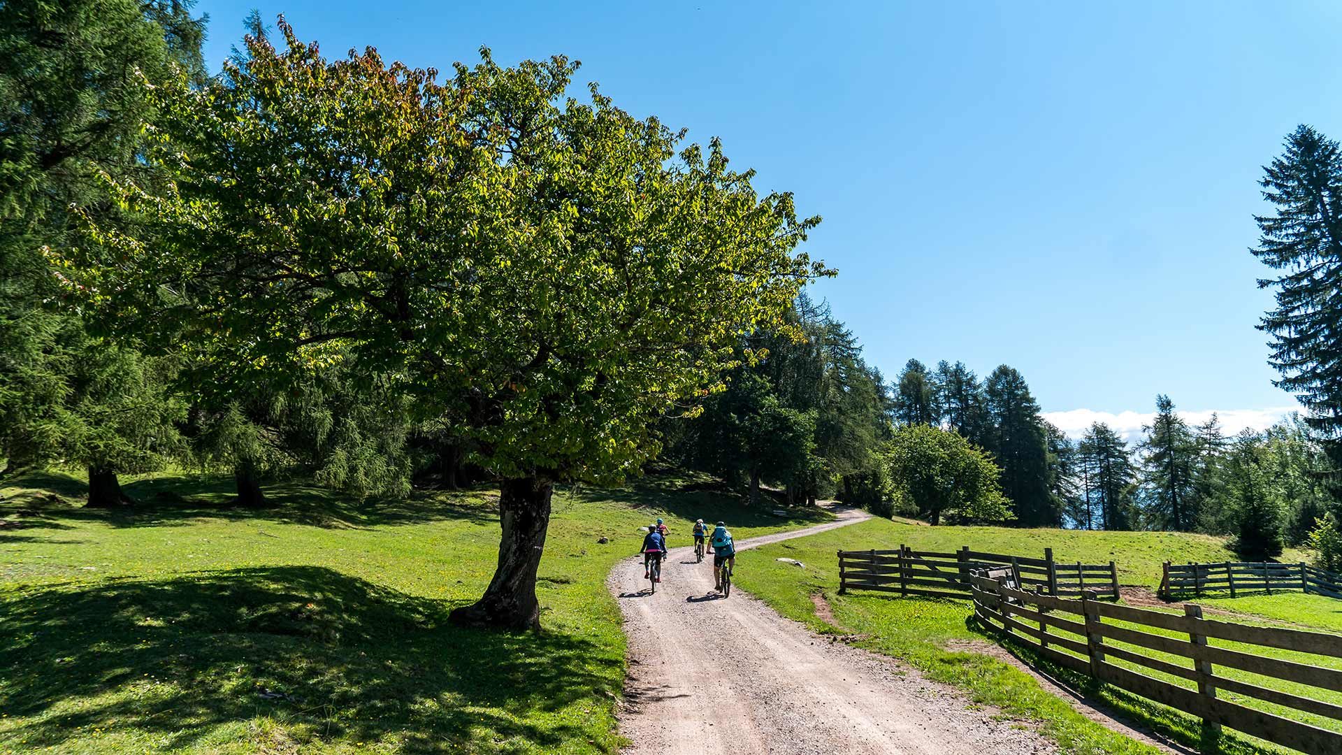 Radweg Plaus - Vigiljoch
