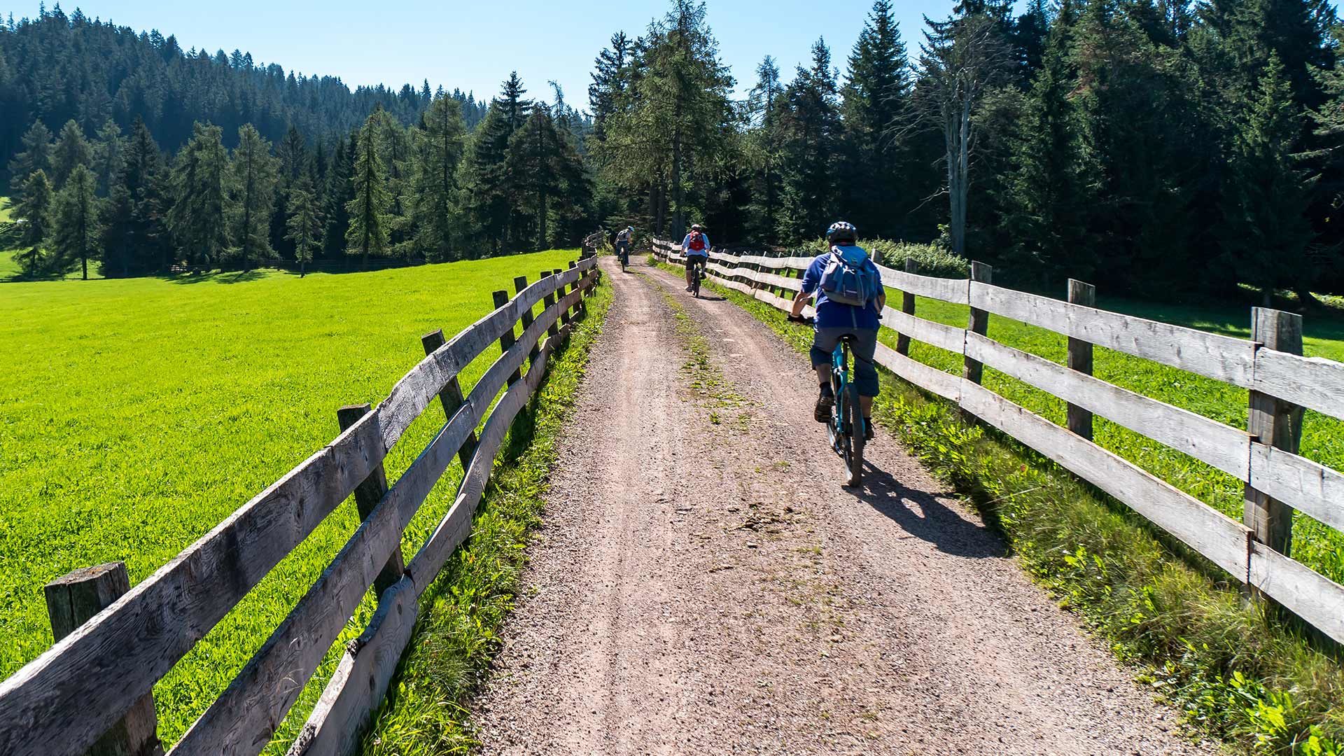 Radtour zur Naturnser Alm