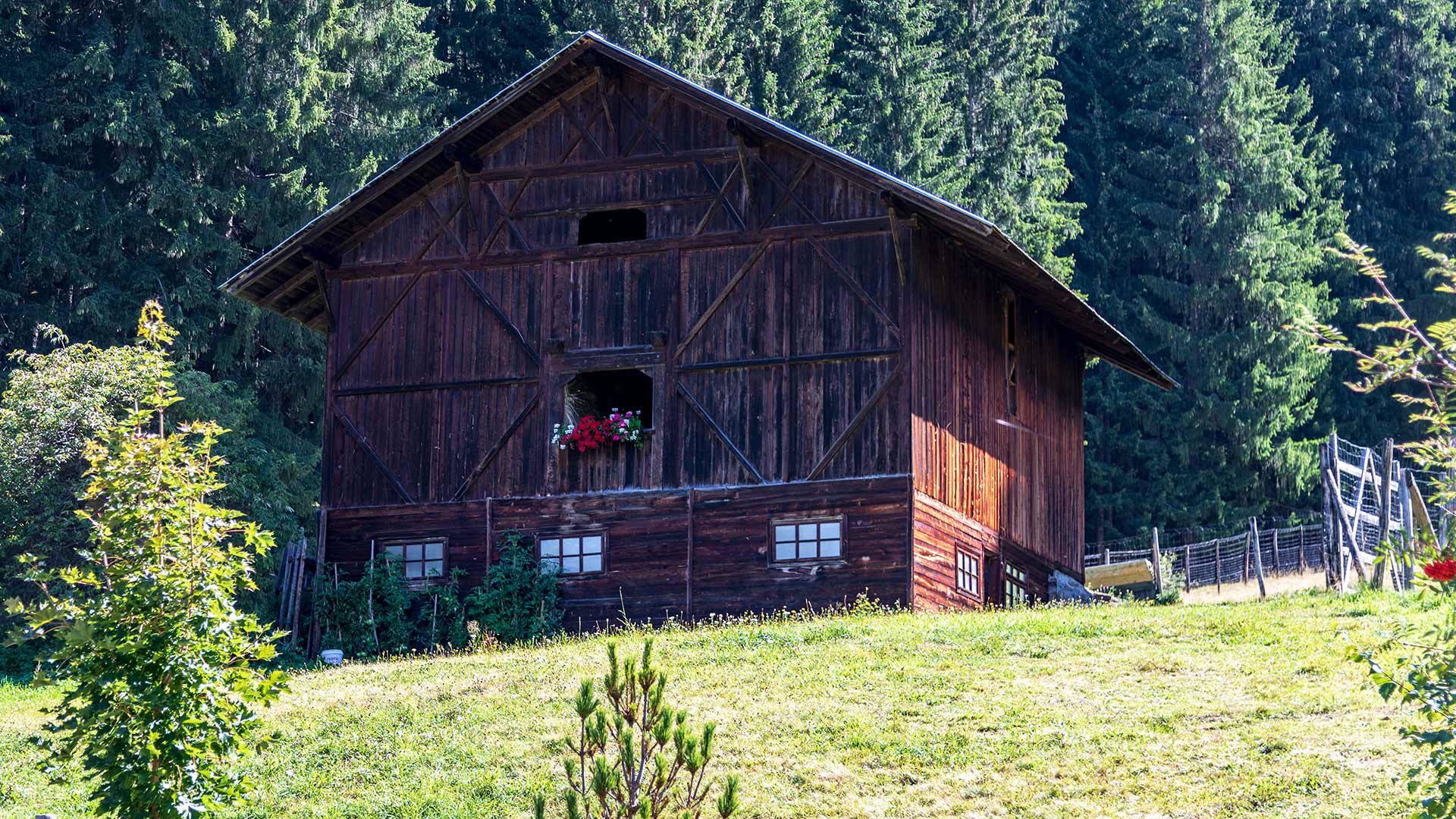 Radtour zur Pfandleralm