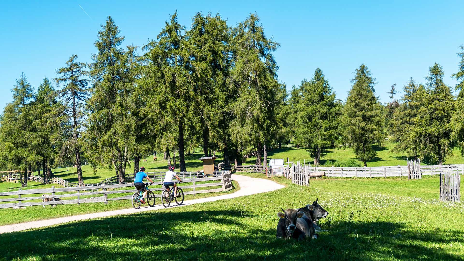 Radtour zur Pfistradalm
