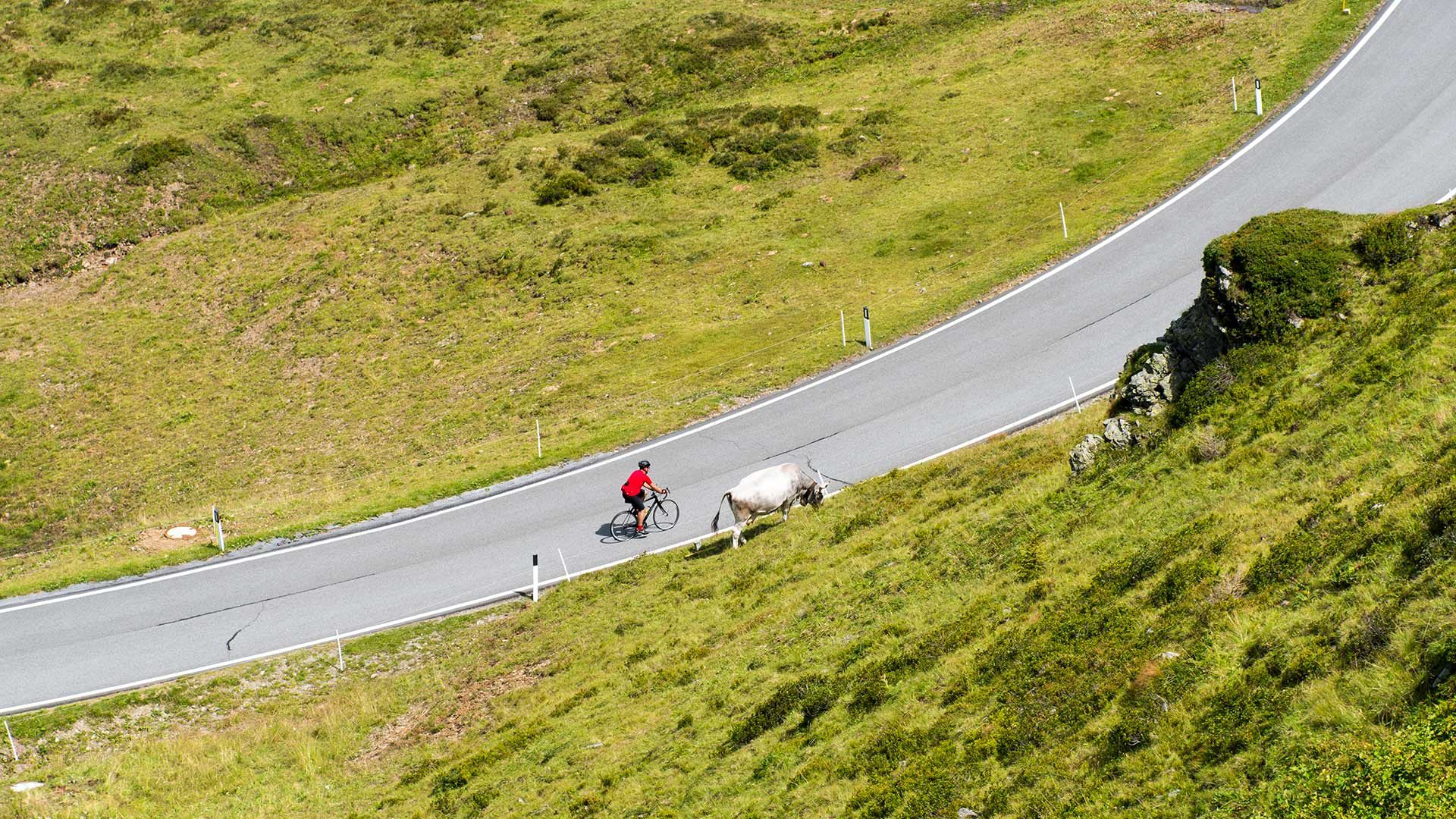Radtour - Jaufenpass