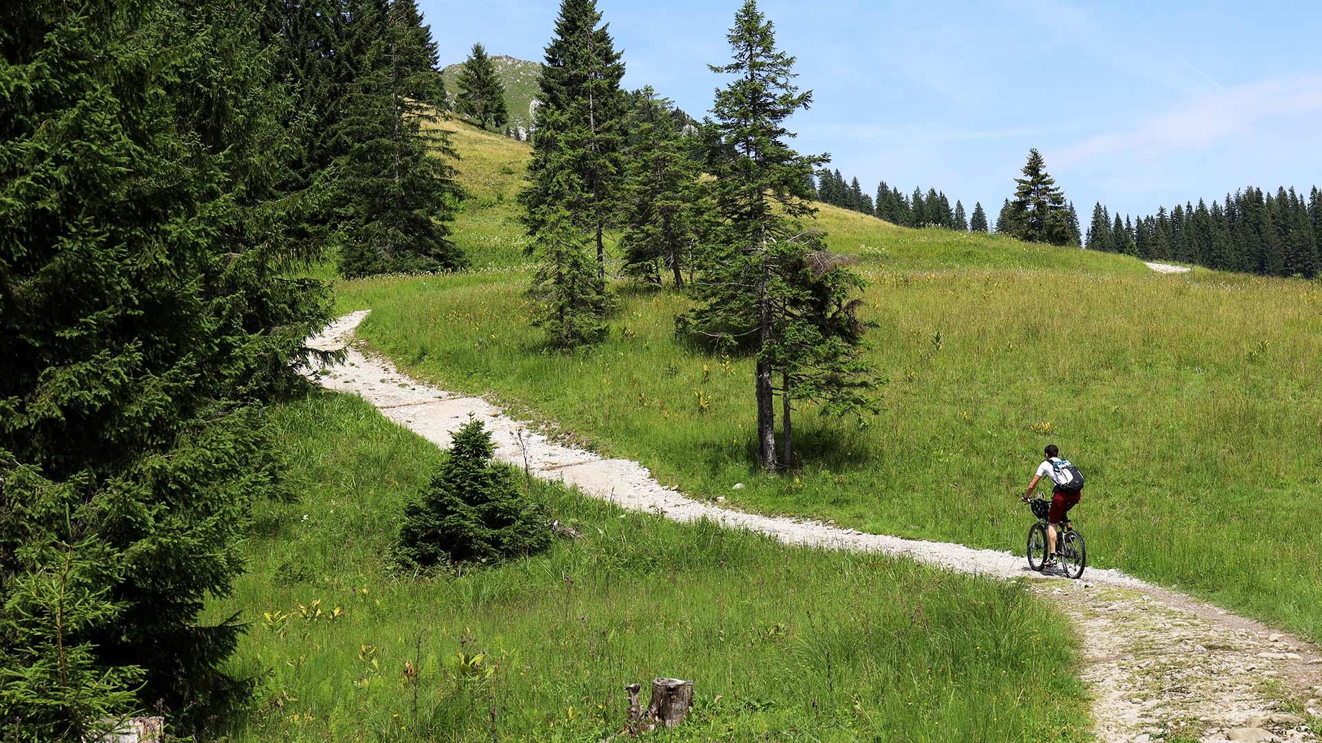 Radtour zur Spitzner Alm