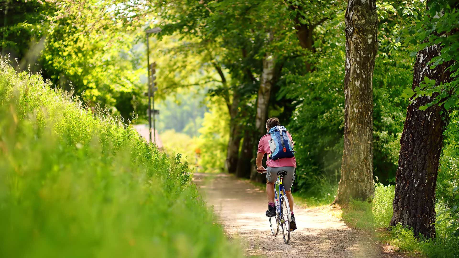 Radtour zur Wannser Alm