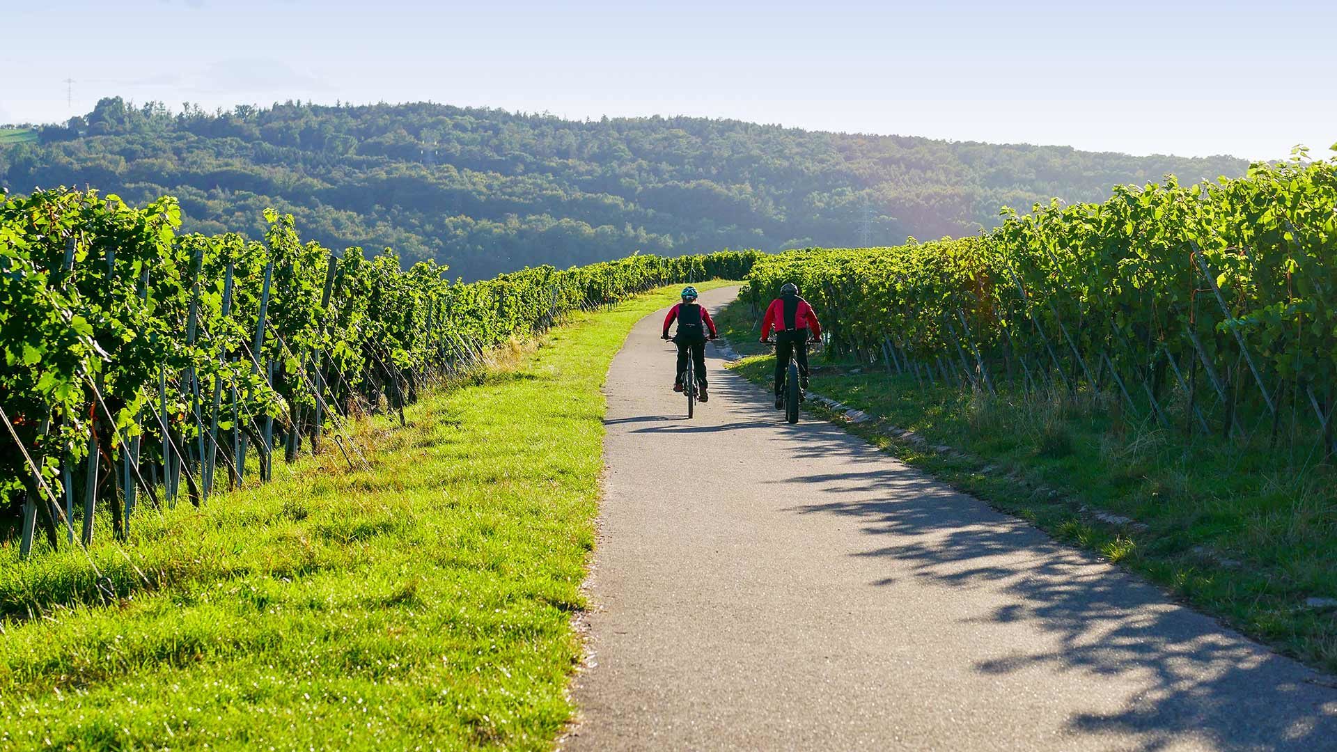 Weinbergrunde