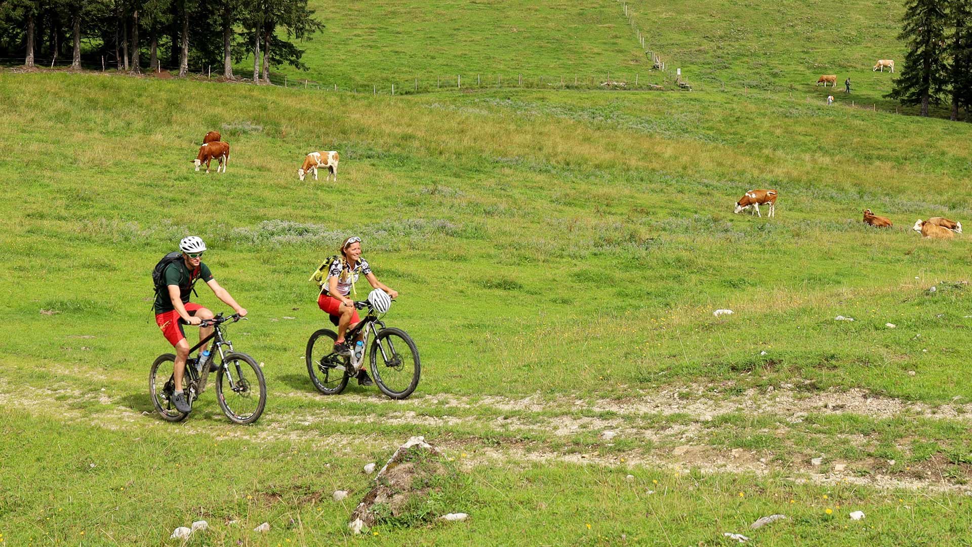 Radtour zum Zmailerhof