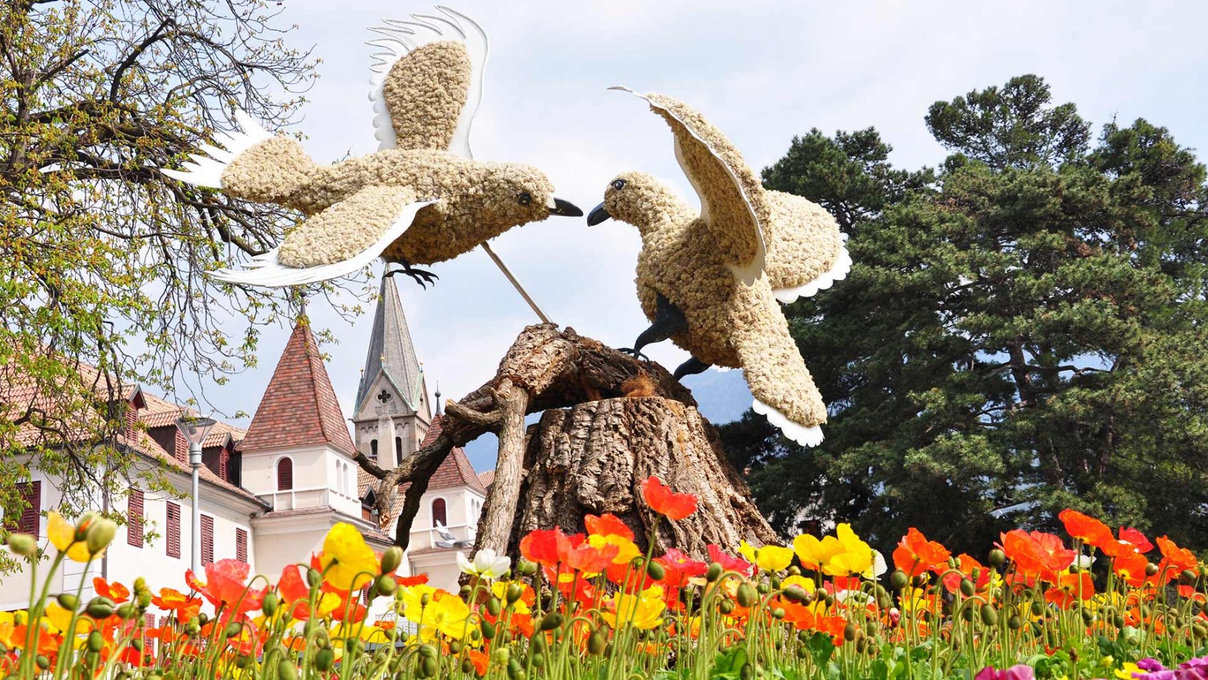 Schönwettertipps für den Frühling