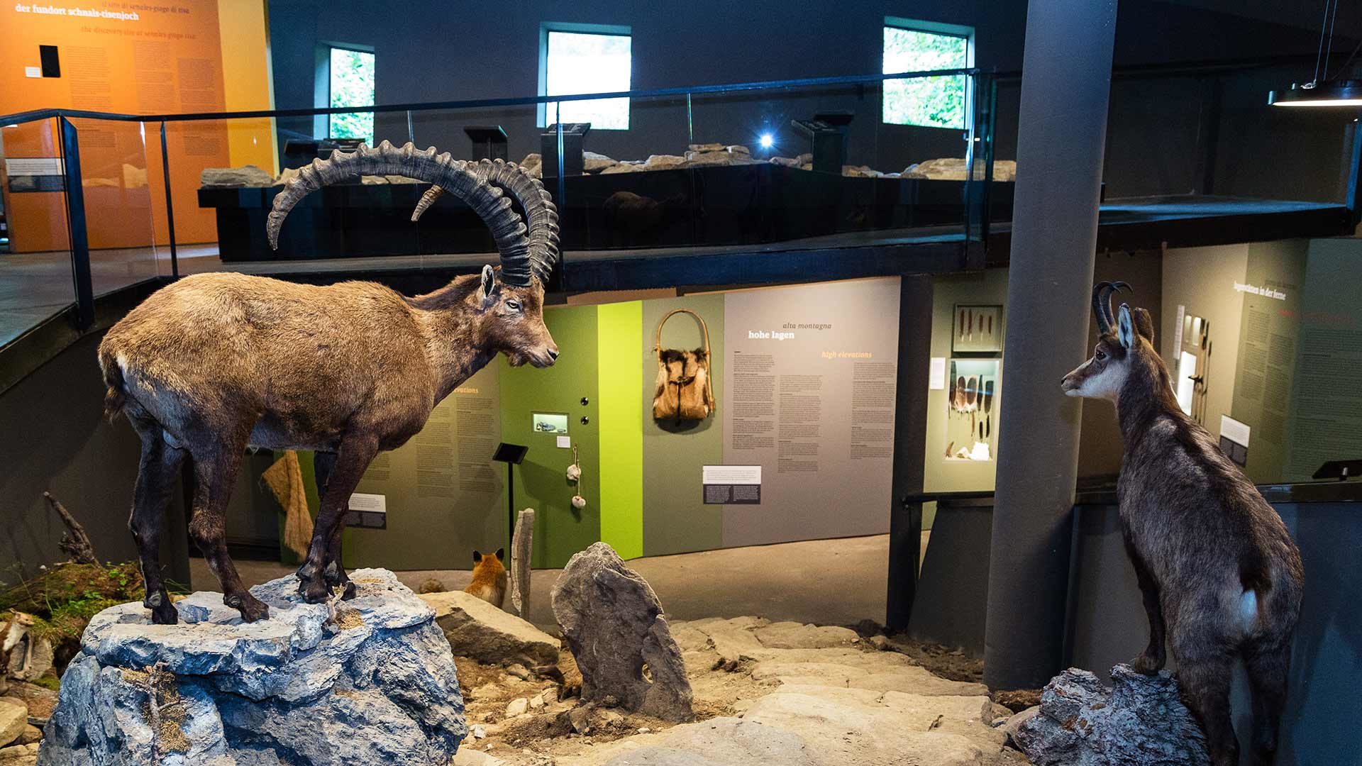 Archeoparc Schnalstal - Ausstellungen