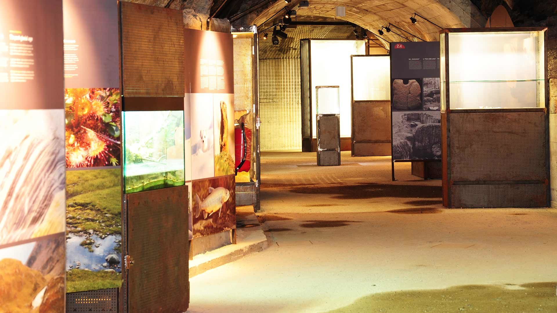 Bunker Mooseum in Moos