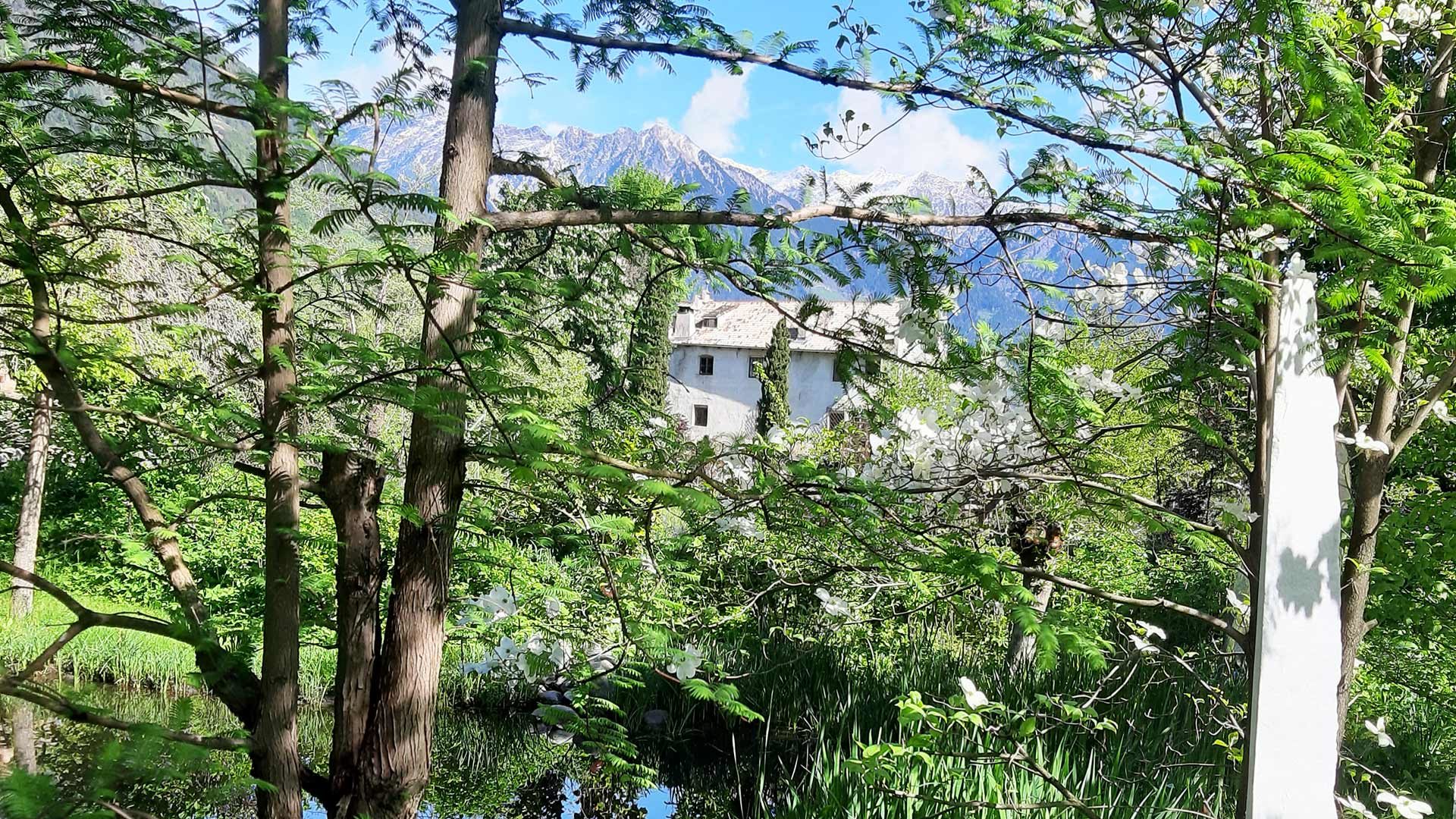 Kränzelhof im Meraner Land