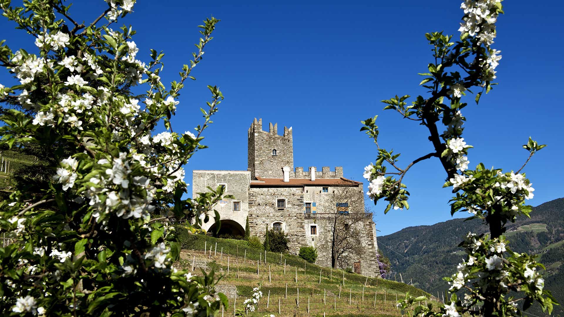 Schloss Hochnaturns und Schloss Dornsberg