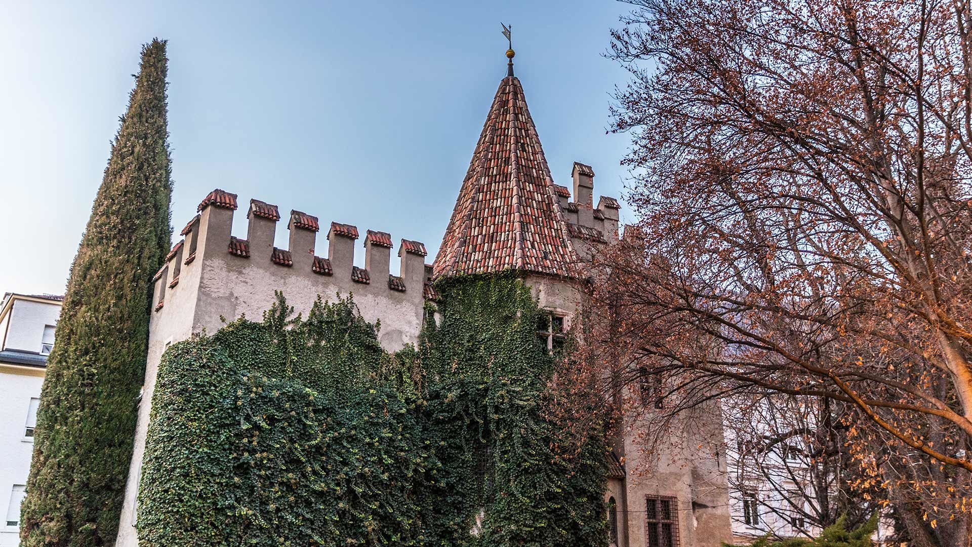 Die Landesfürstliche Burg