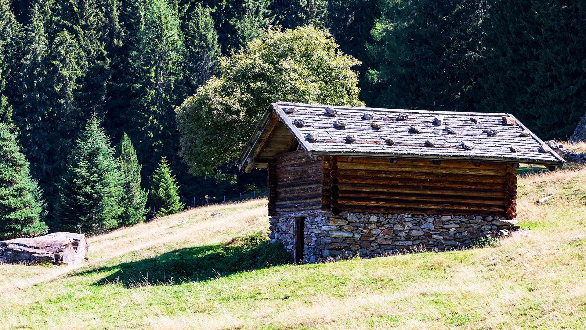 Die Pfandler Alm
