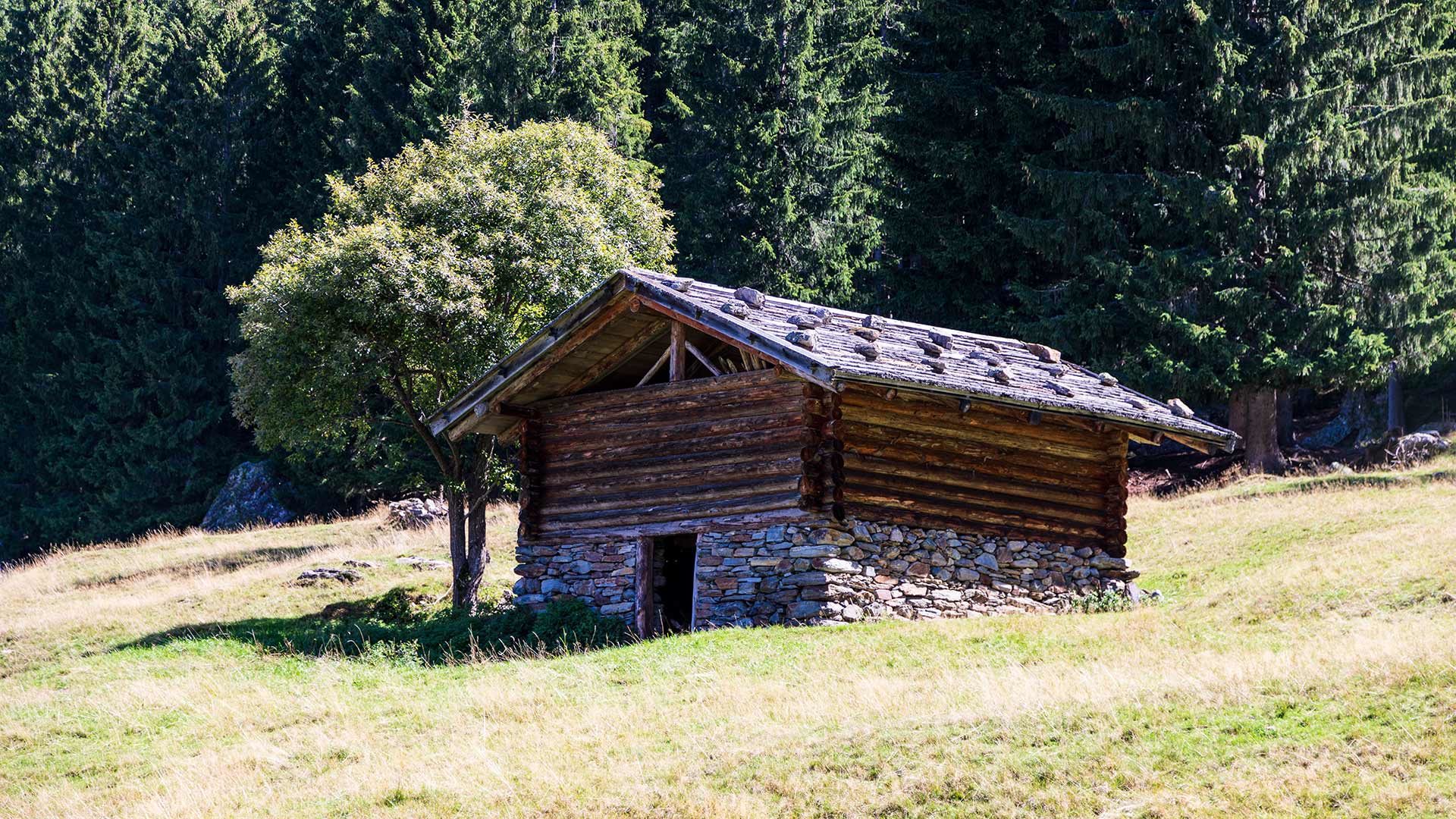 Pfandler Alm - Wanderung