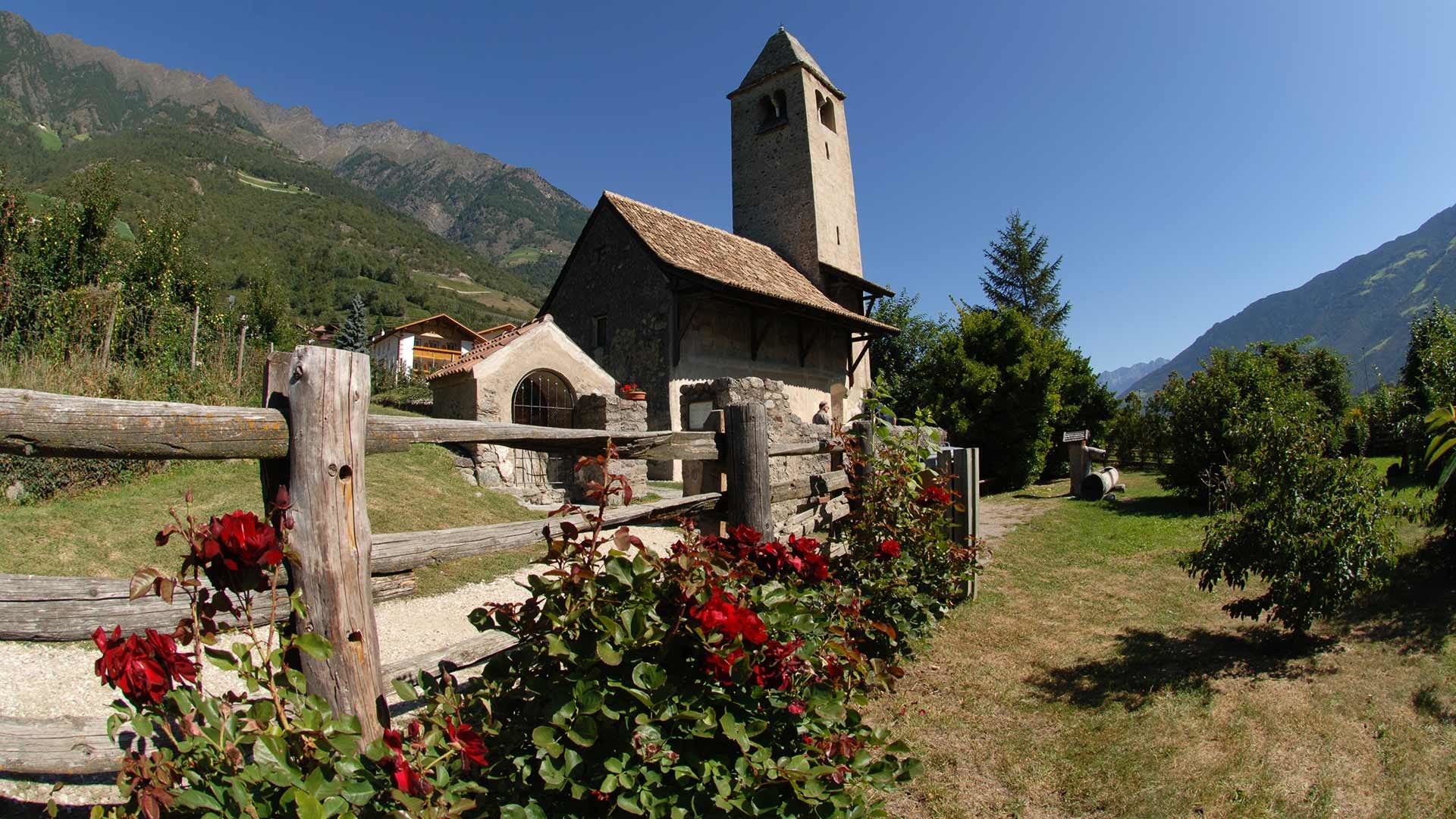 Blick zur Prokuluskirche