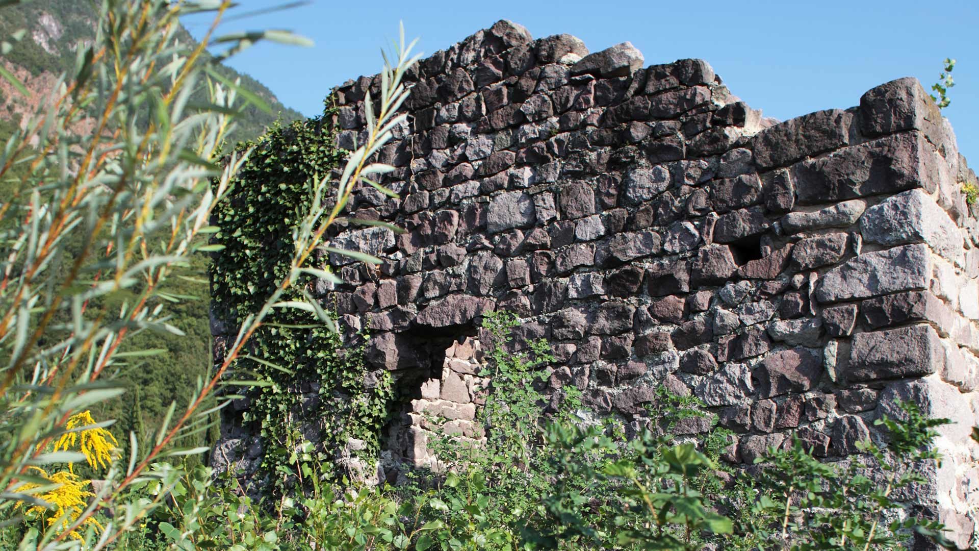 Die Ruine Burgstall
