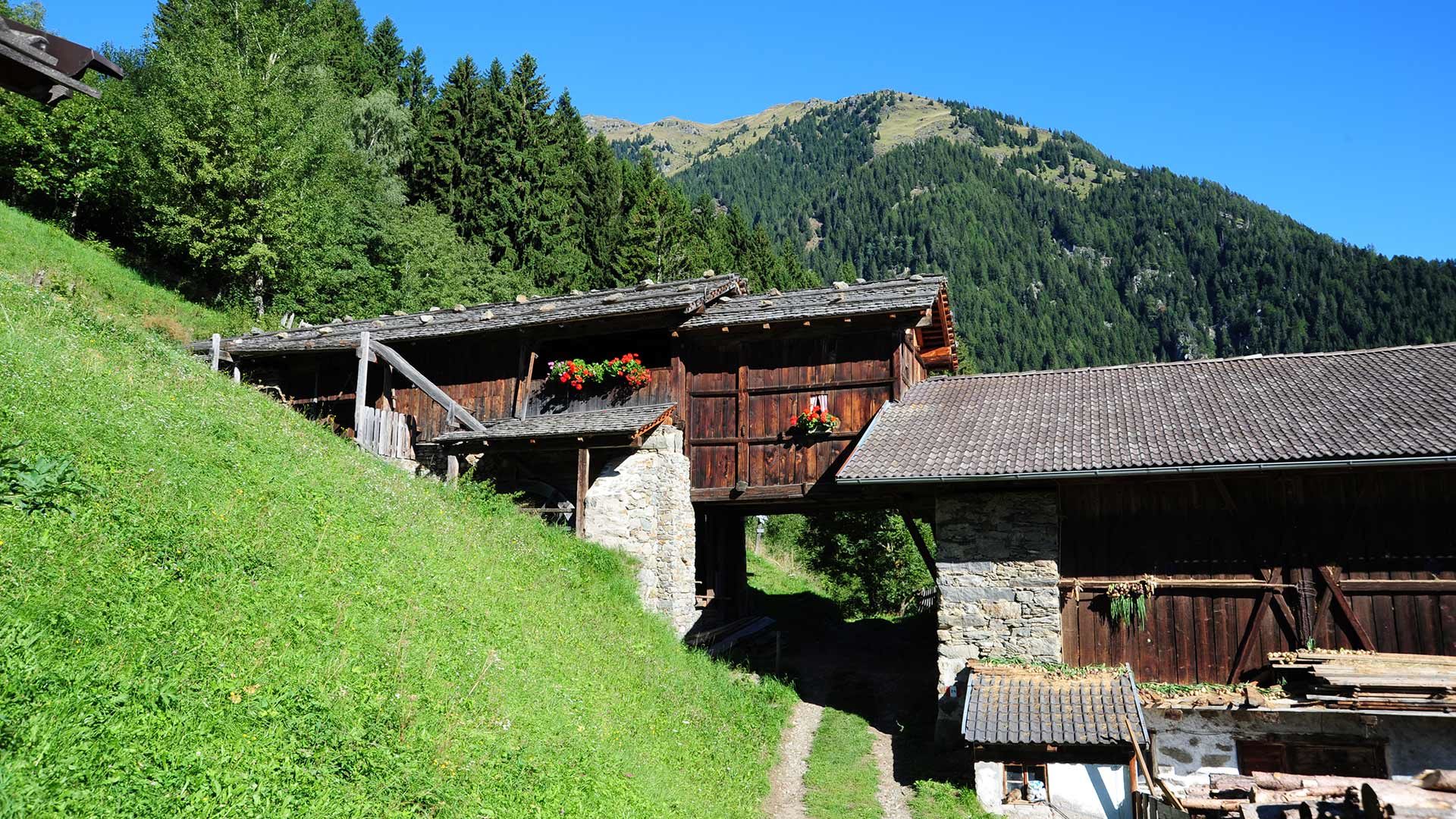 Sägemühle in Vernuer