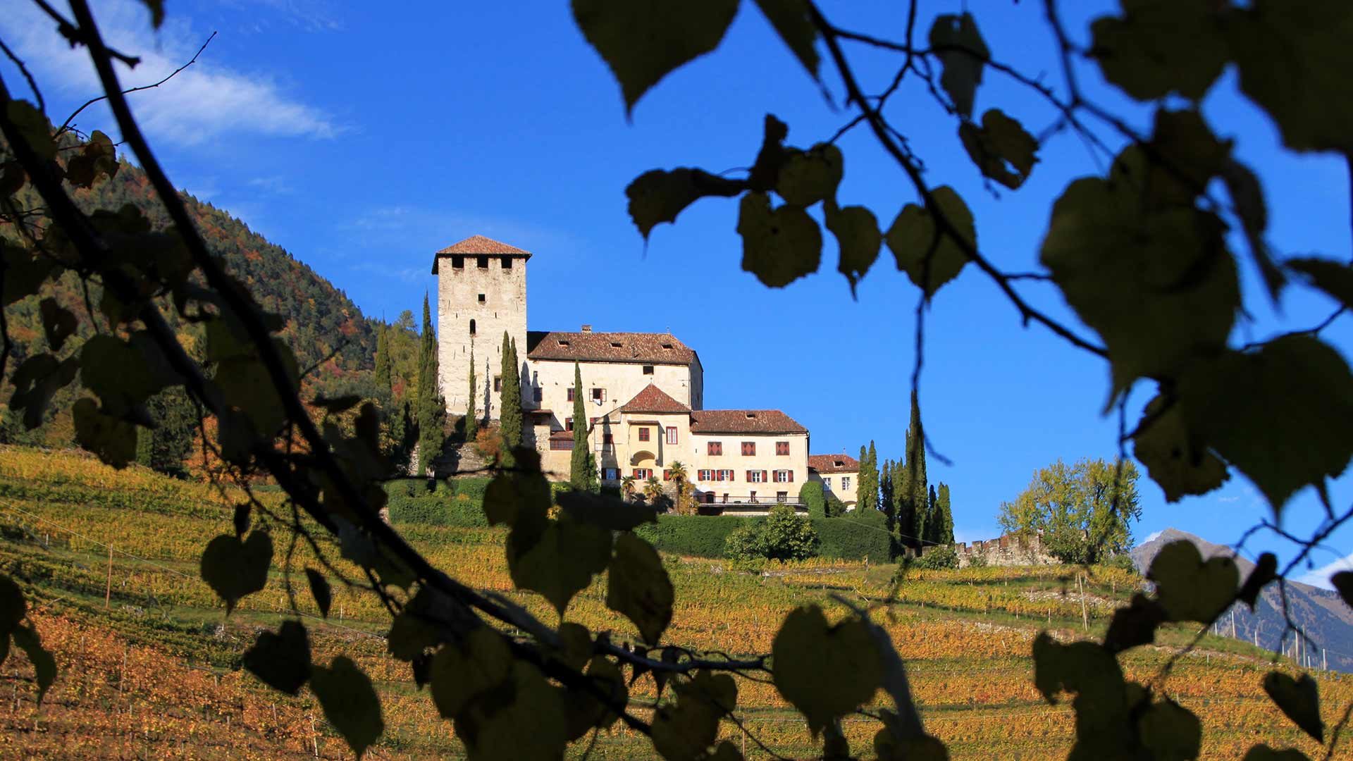 Schloss Lebenberg - Herbst
