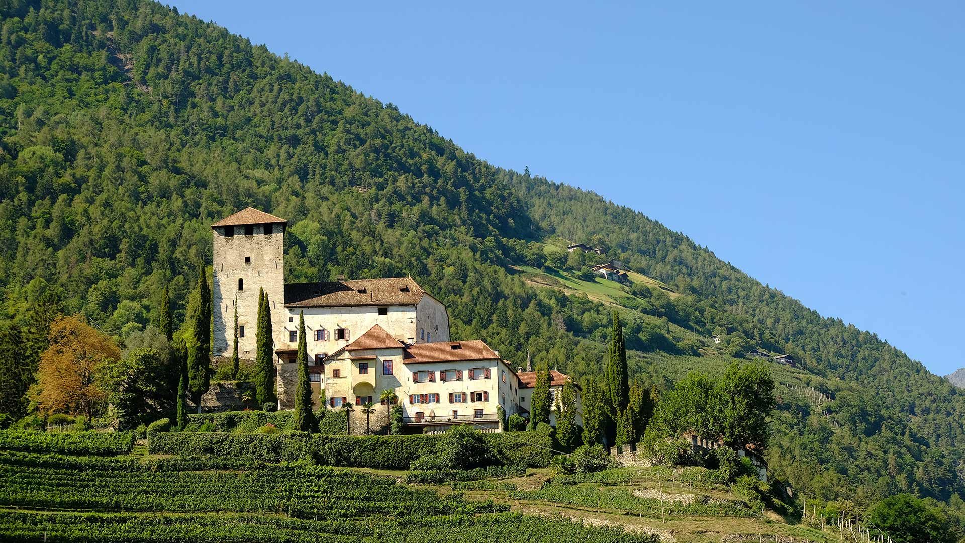 Schloss Lebenberg
