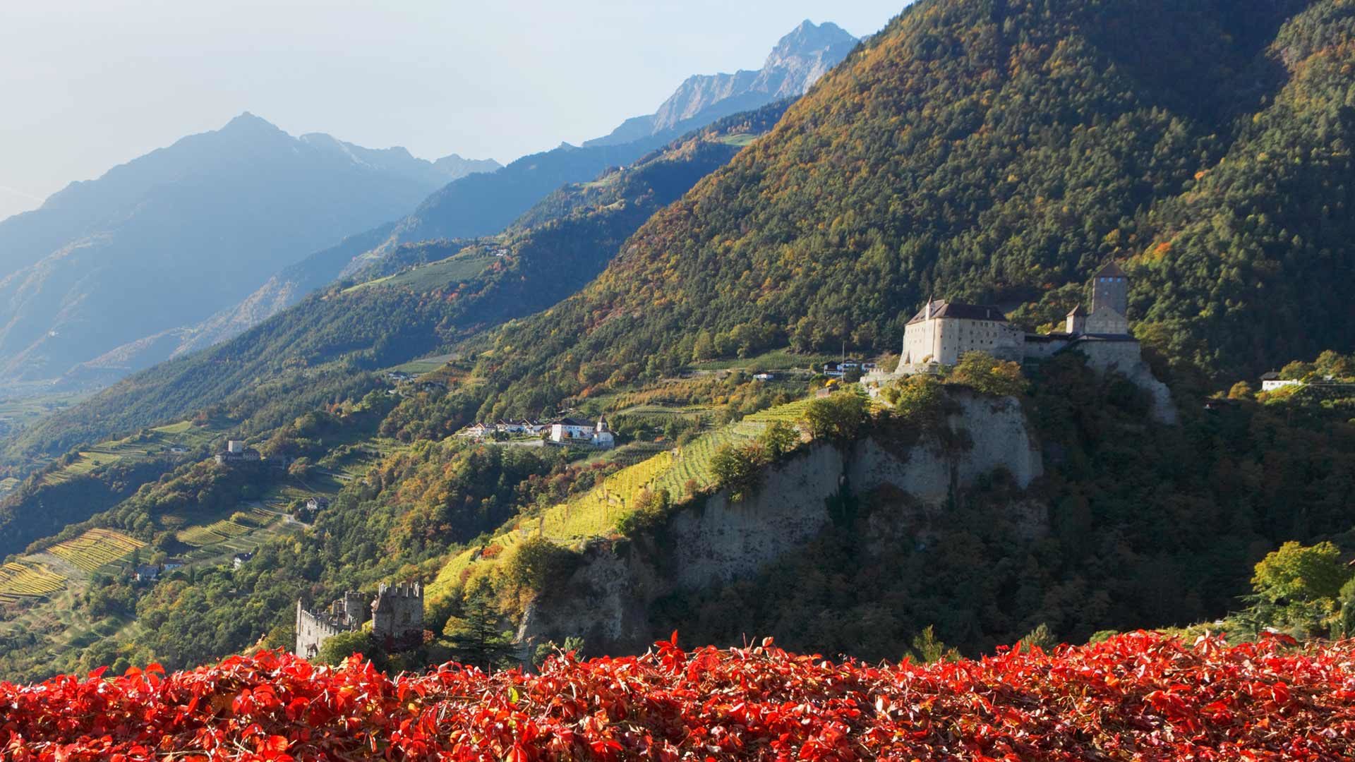 Herbsturlaub - Schloss Tirol
