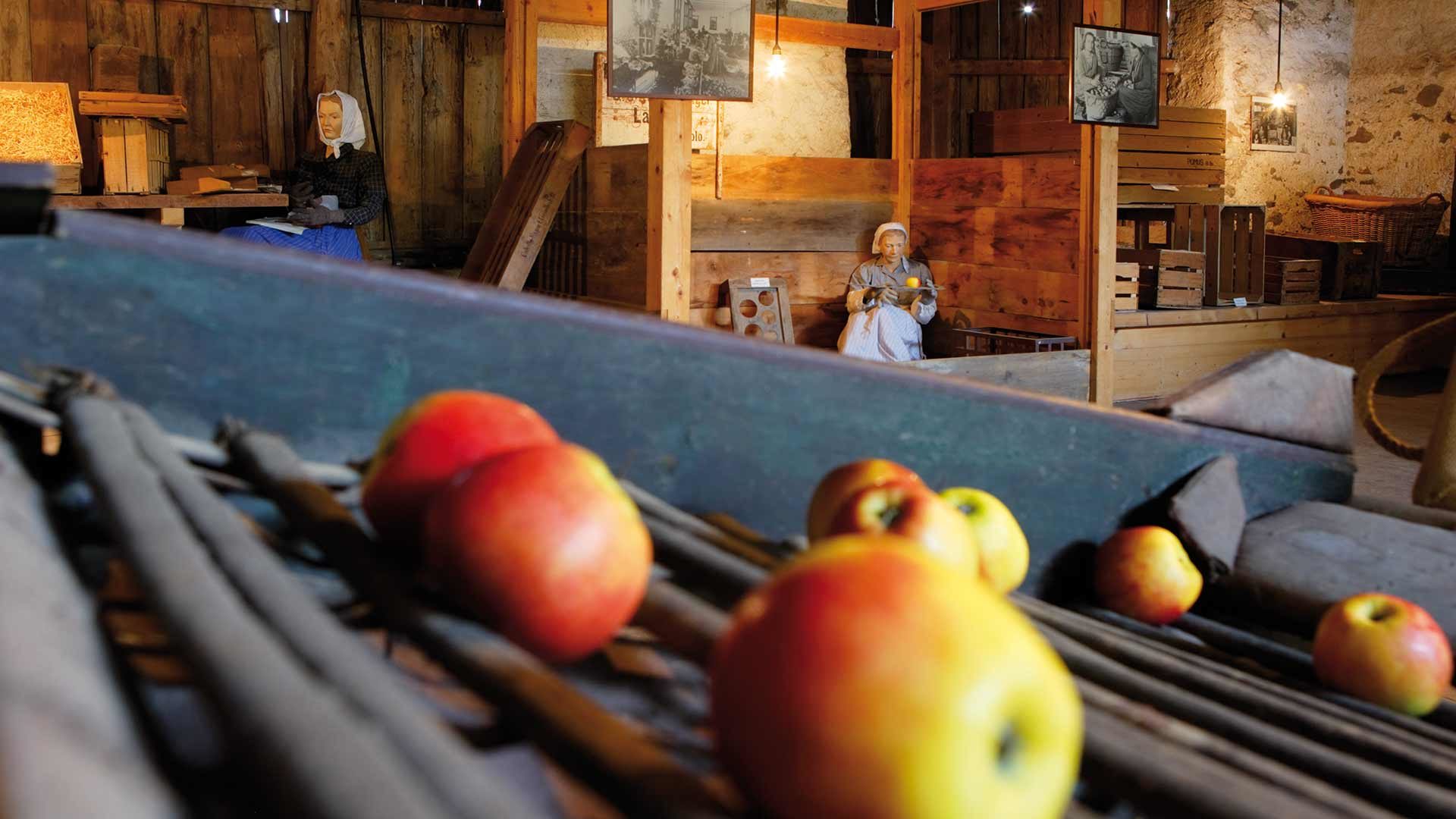 Südtiroler Obstbaumuseum