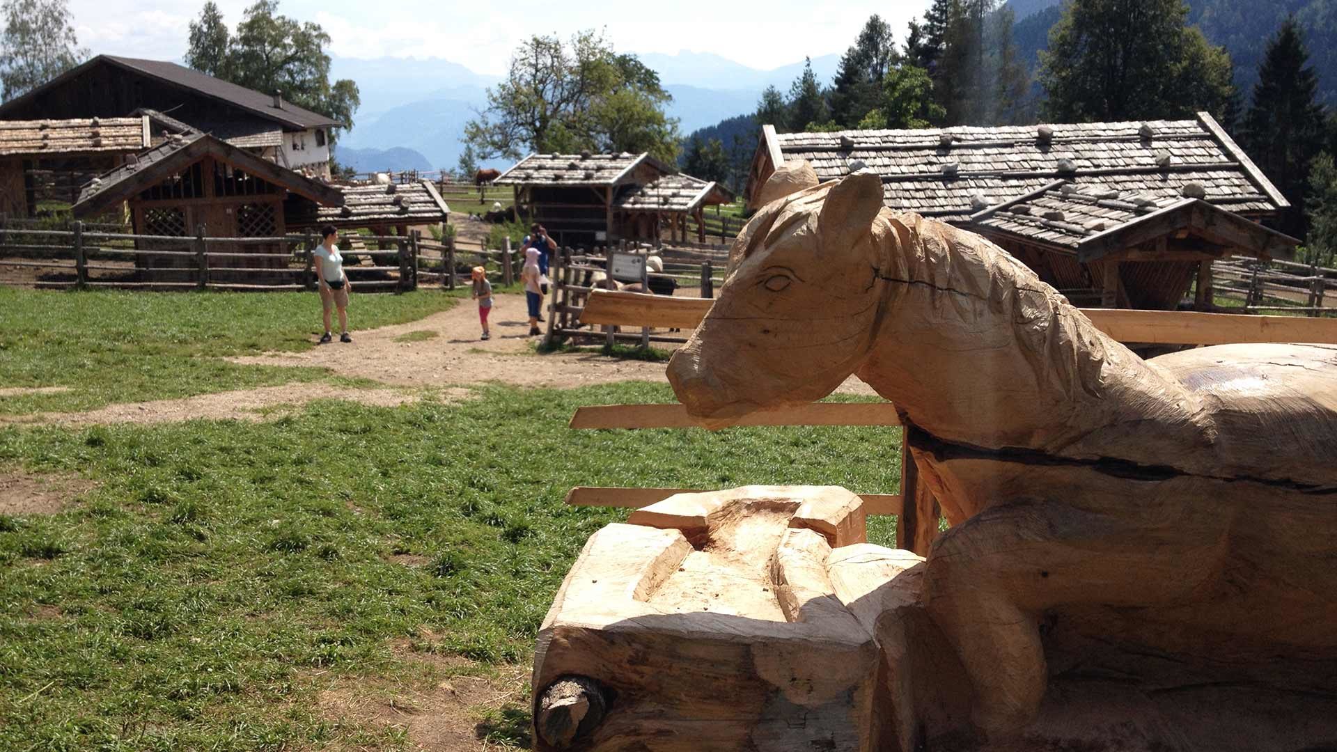 Tierwelt Rainguthof in Gfrill in Südtirol