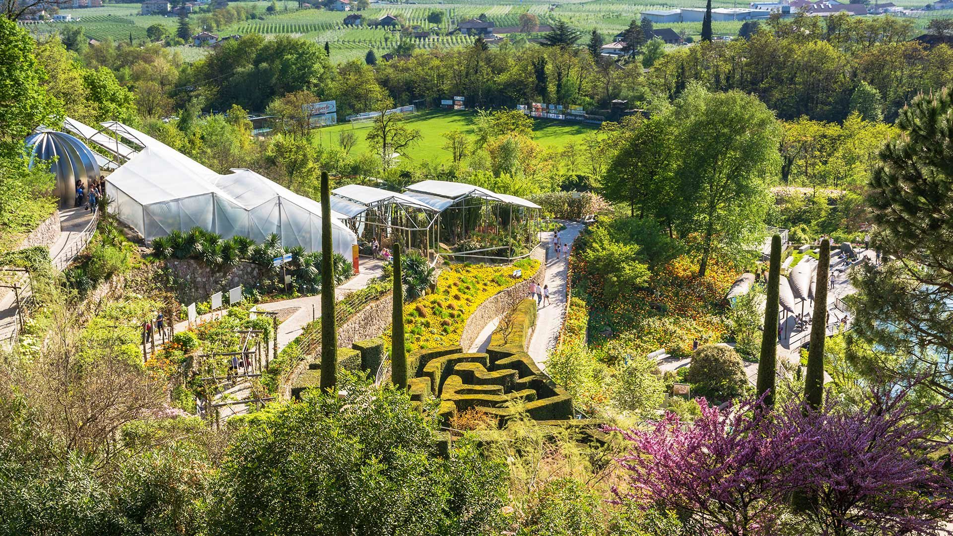 Blick auf die Gärten von Schloss Trauttmansdorff