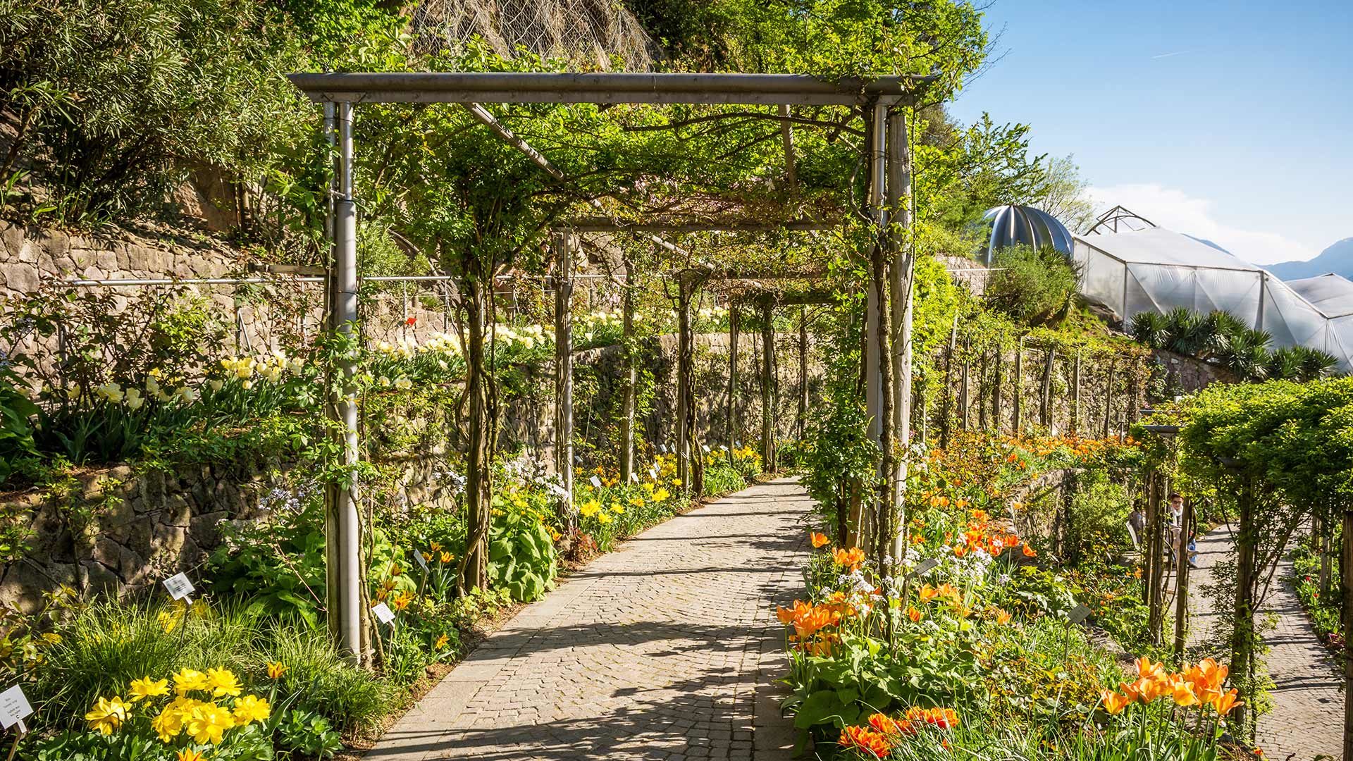 Blumen - Gärten von Schloss Trauttmansdorff