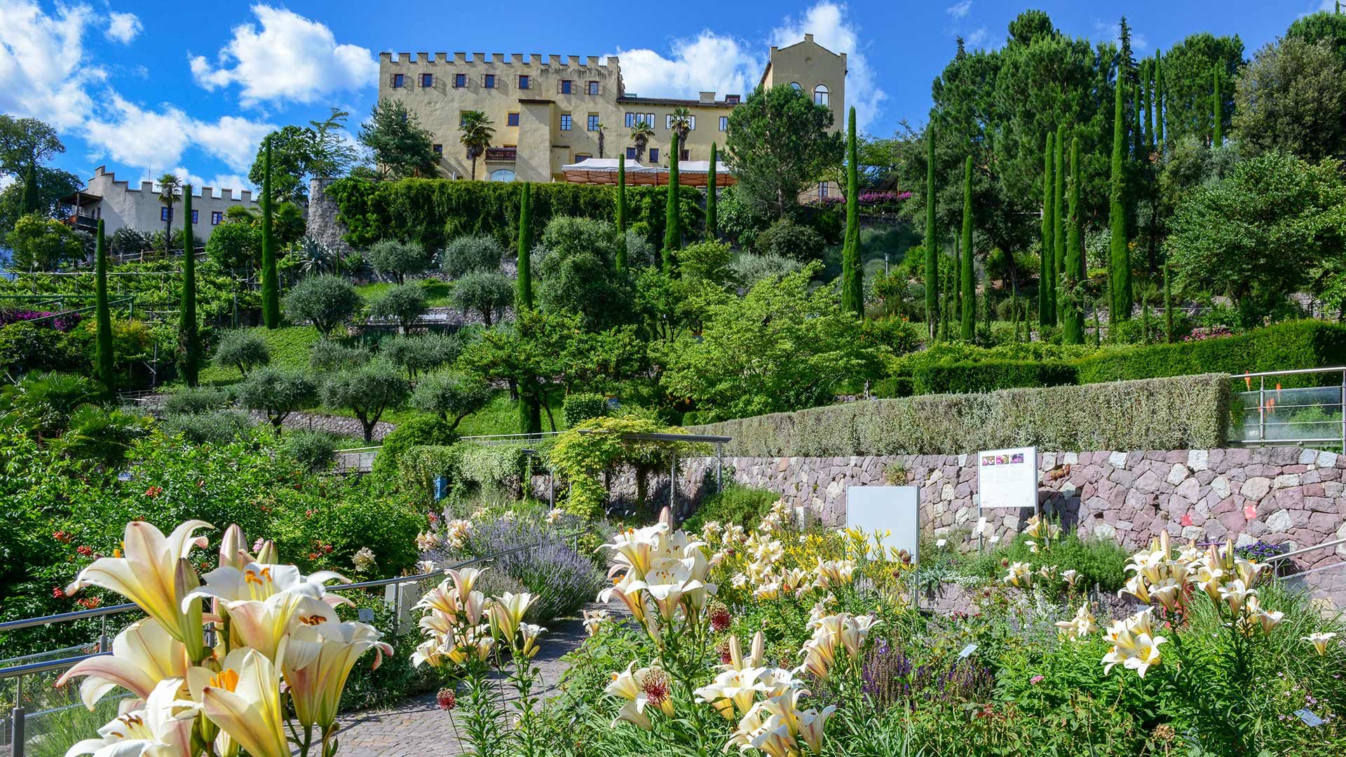 Gärten von Schloss Trauttmansdorff im Frühjahr