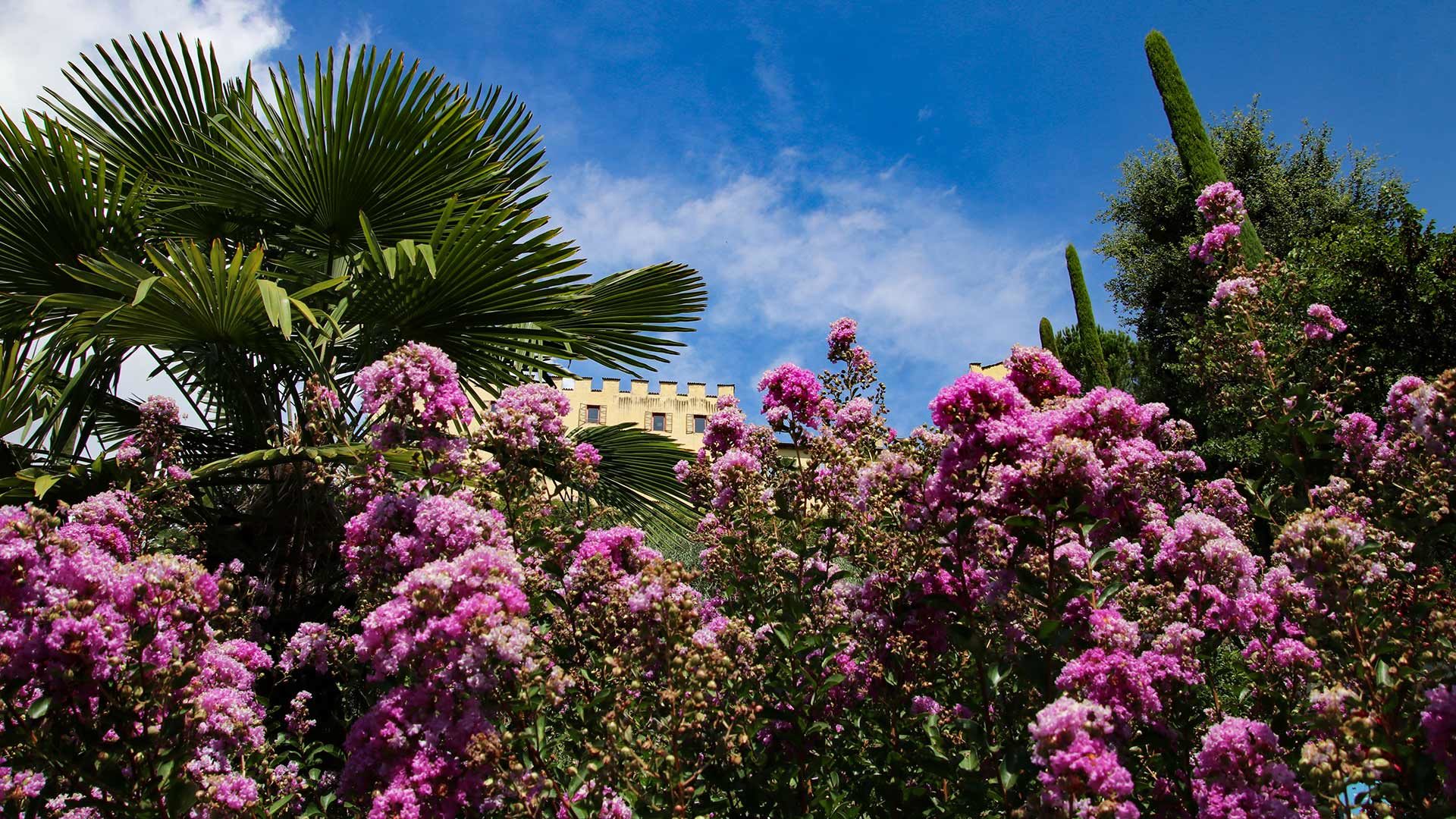 Meran - Gärten von Schloss Trauttmansdorff