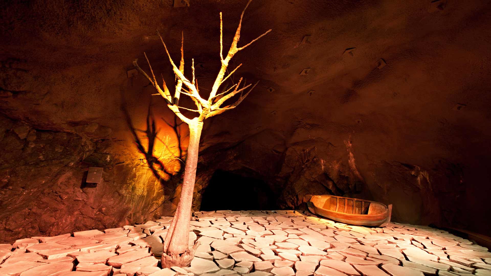 Die Botanische Unterwelt