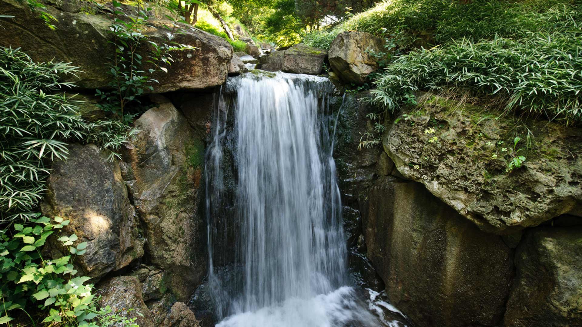 Die Waldgärten