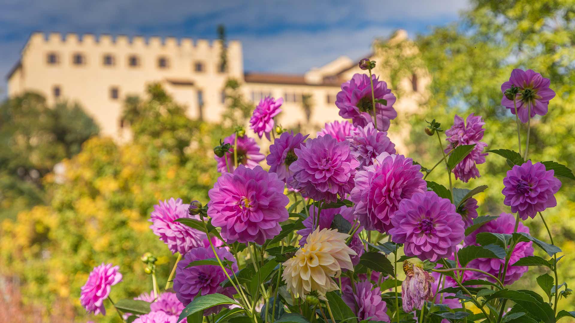 Die Gärten von Schloss Trauttmansdorff