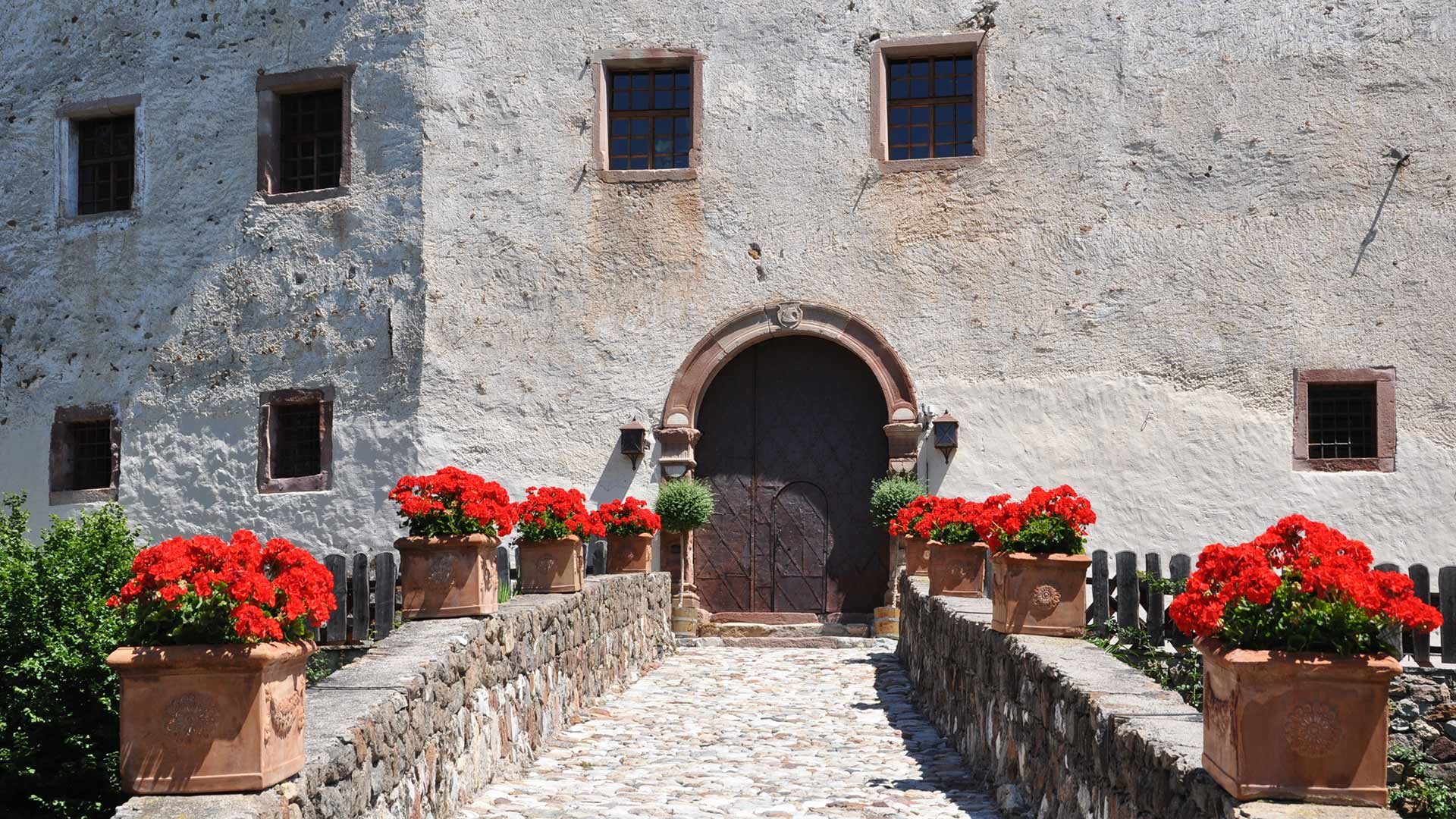 Schloss Katzenzungen