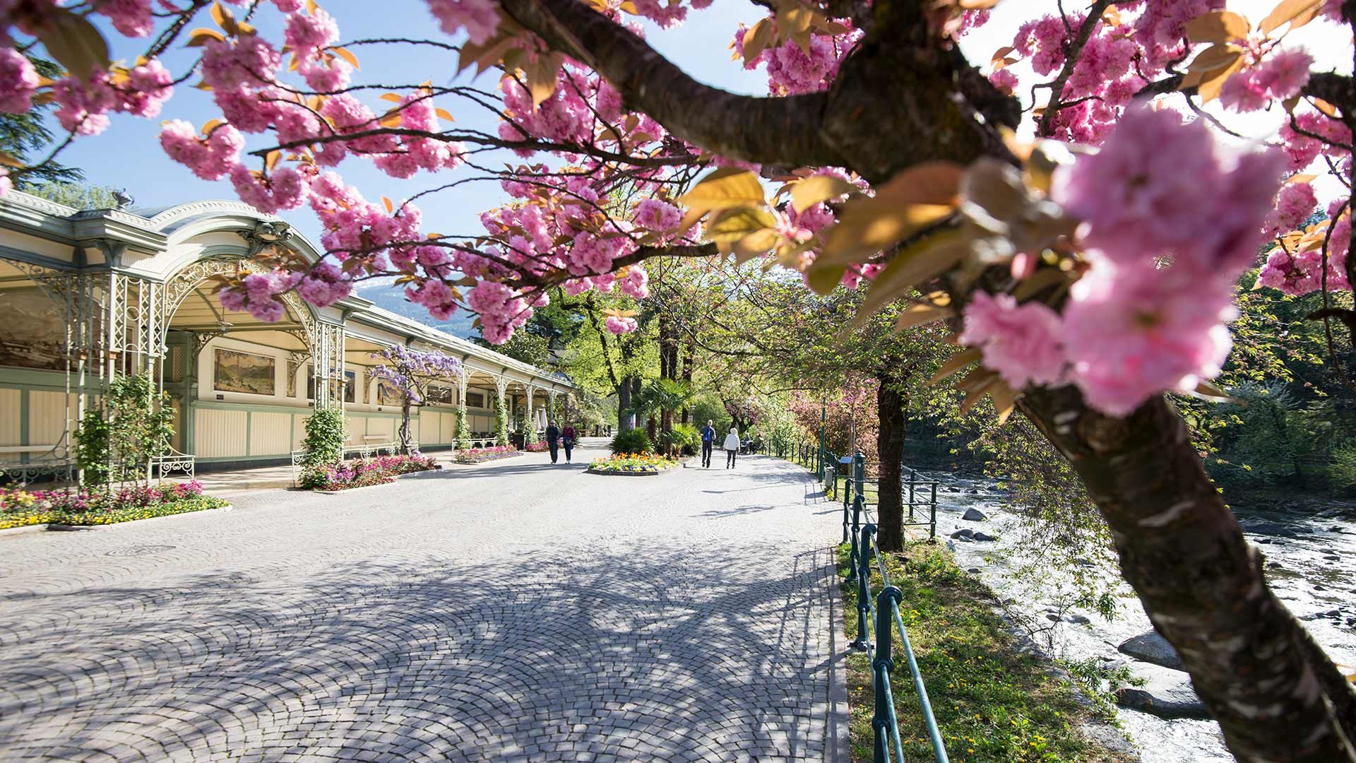 Die Wandelhalle