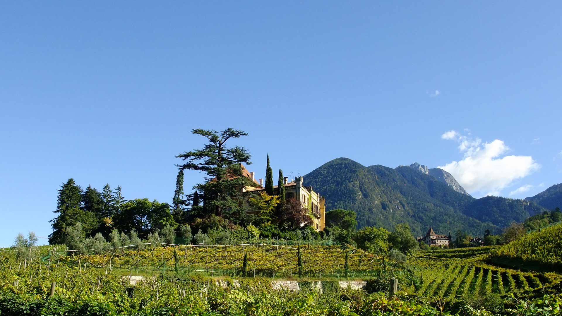 Blick zum Schloss Rametz