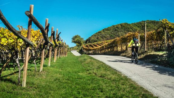 Bikehotels